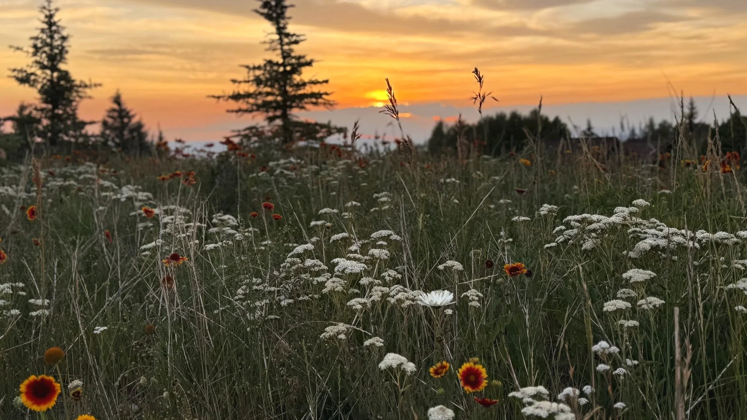Wide mountain landscape with open sky and natural terrain, capturing scale, light, and a sense of place.