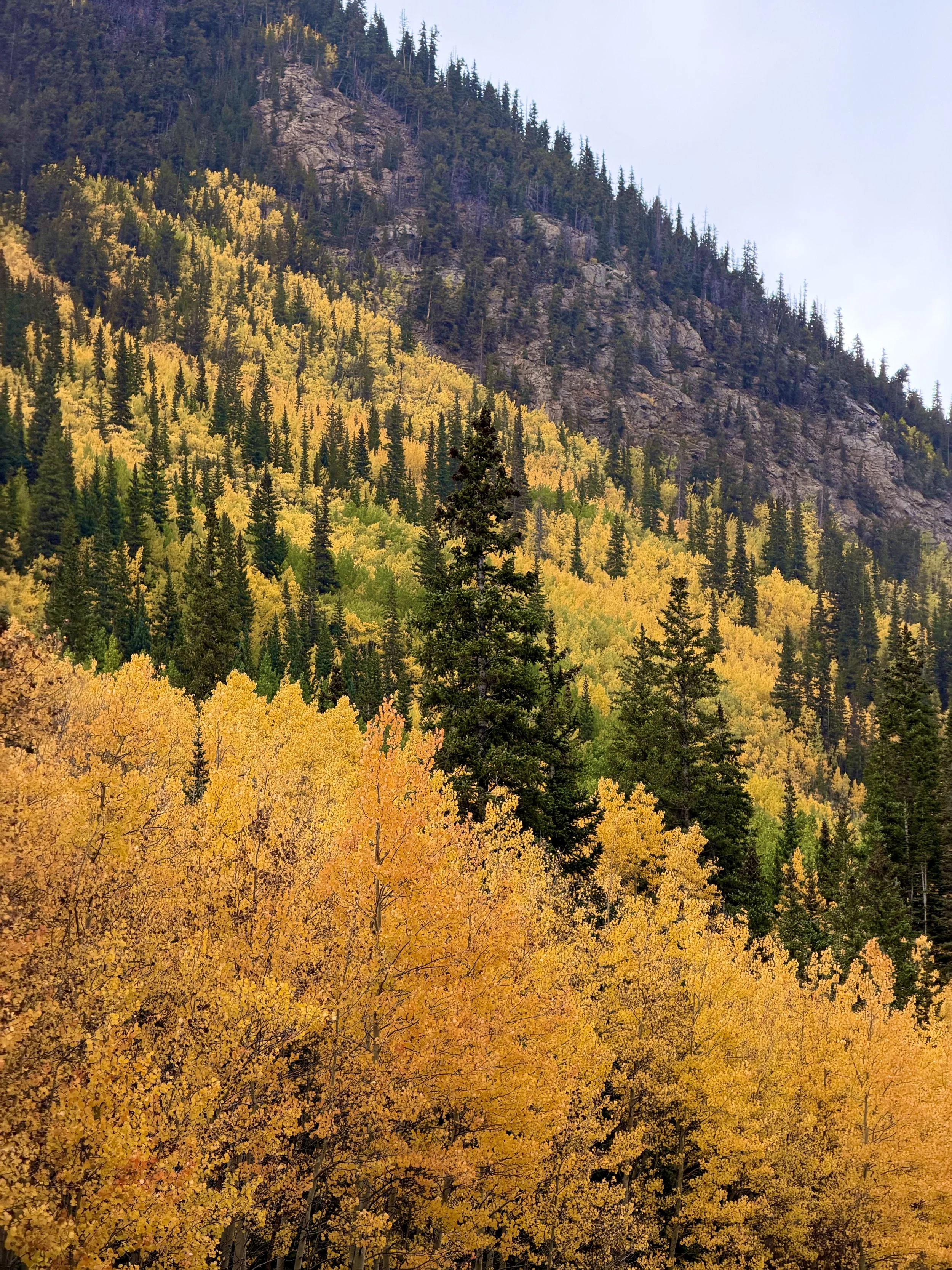 Denver Fall Bucket List