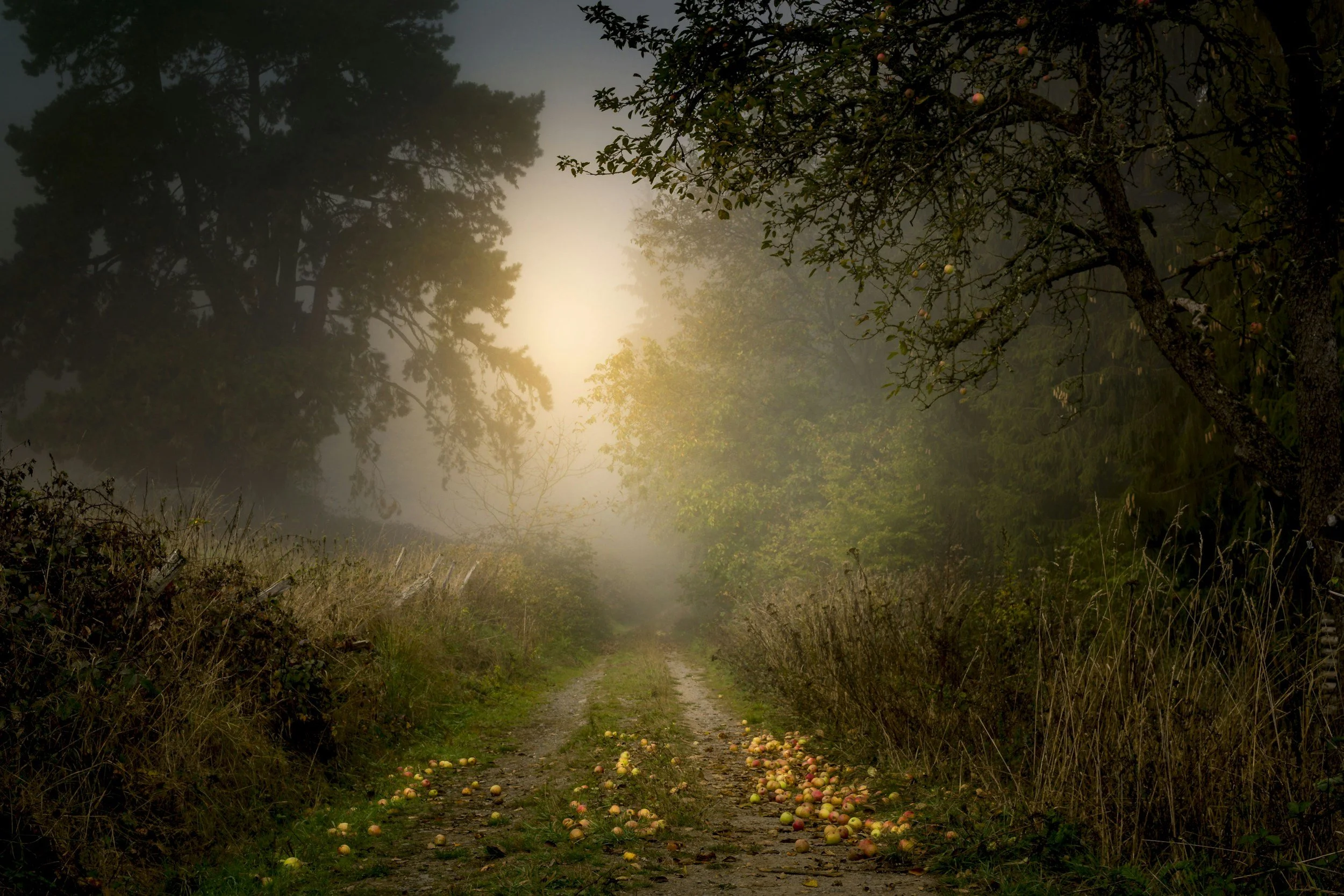 A Spiritual Journey to Dornes