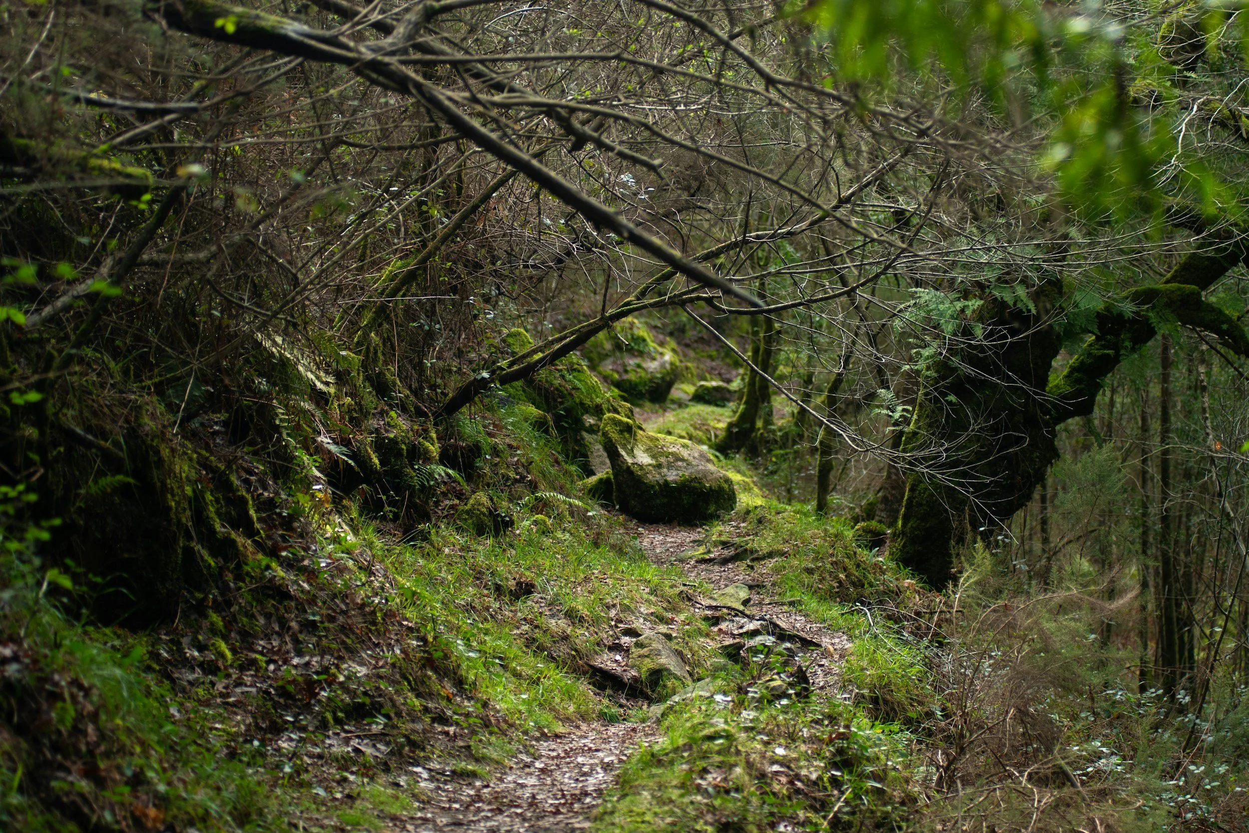 Beltane Women's Circle