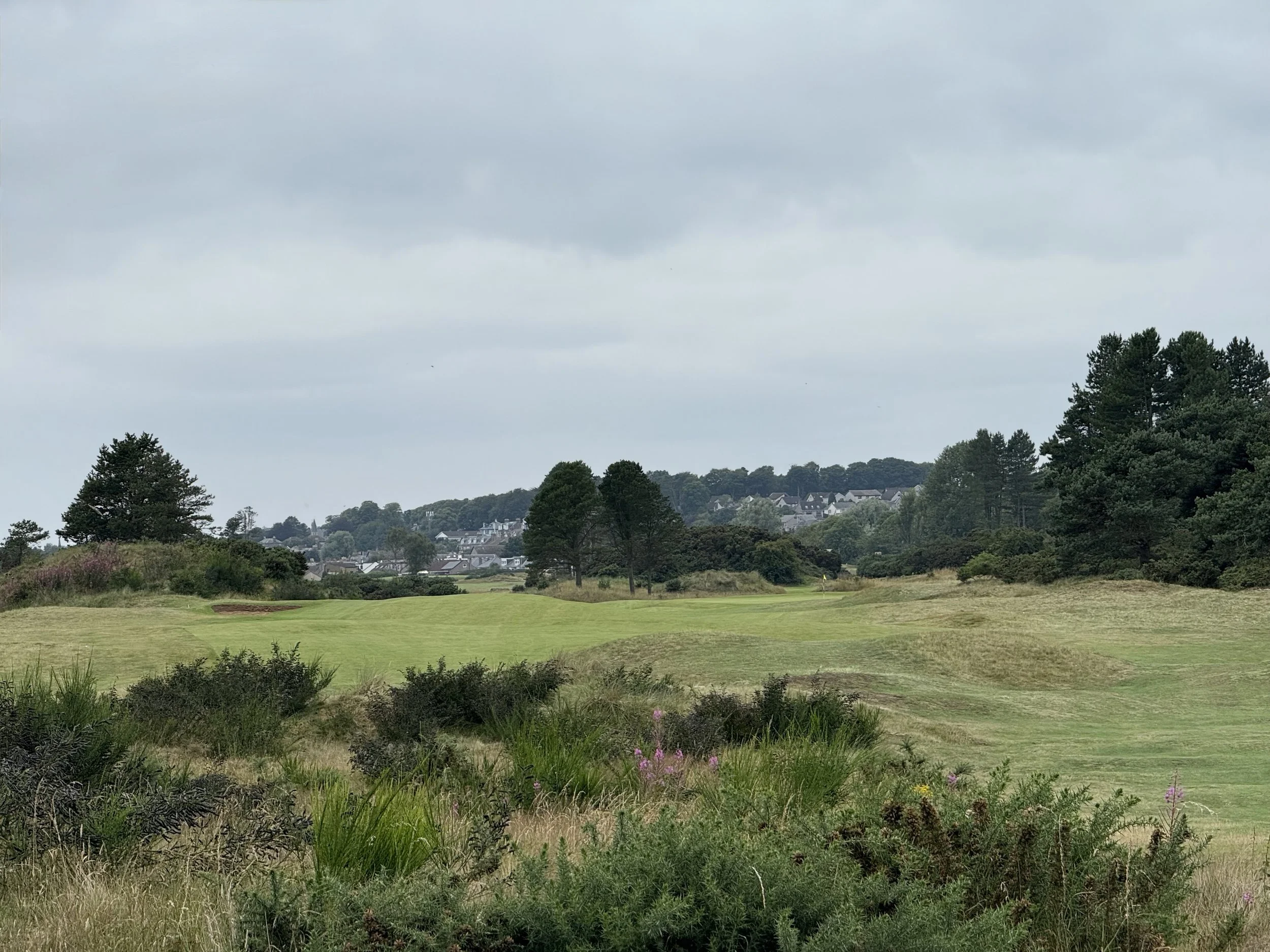 Monifieth Golf Links with town on hill beyond trees.