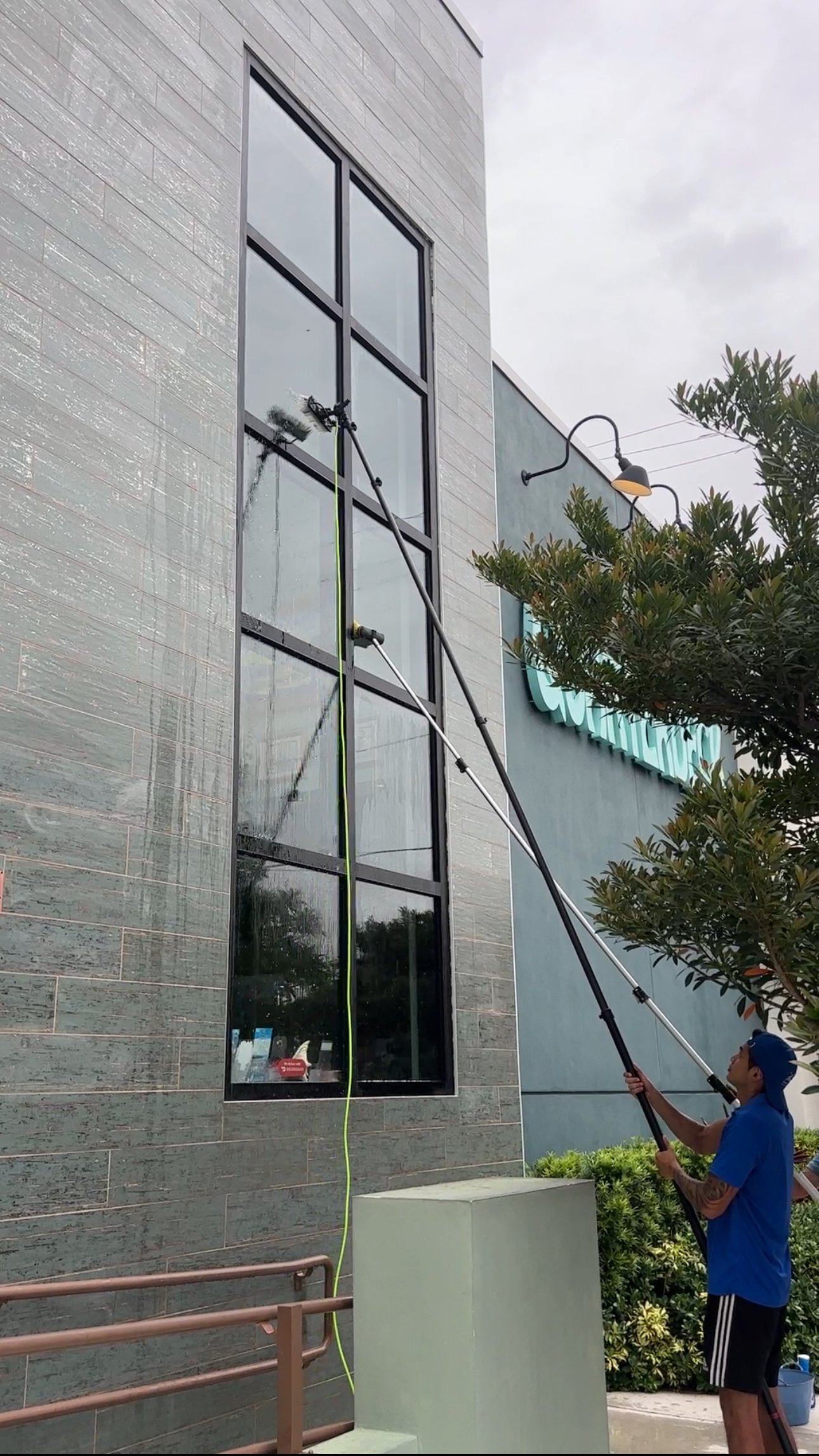 Person cleaning large windows on a building using an extension pole with a cleaning brush, standing on a sidewalk next to some greenery.