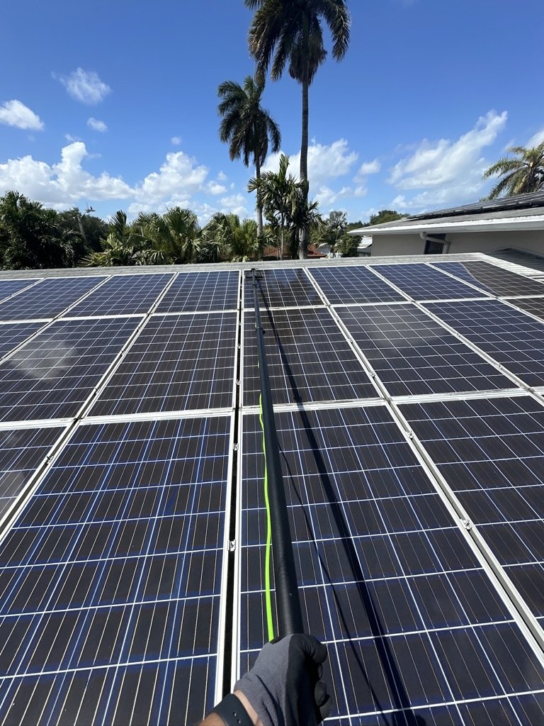 Person cleaning solar panels on a rooftop with palm trees in the background and a clear blue sky.