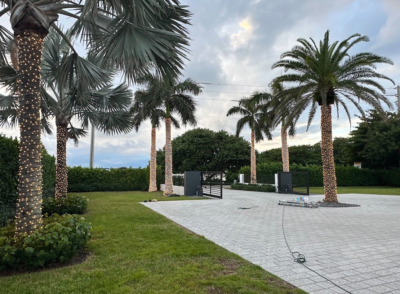 Palm trees wrapped with string lights, next to a paved driveway and entrance gate, under a cloudy sky.