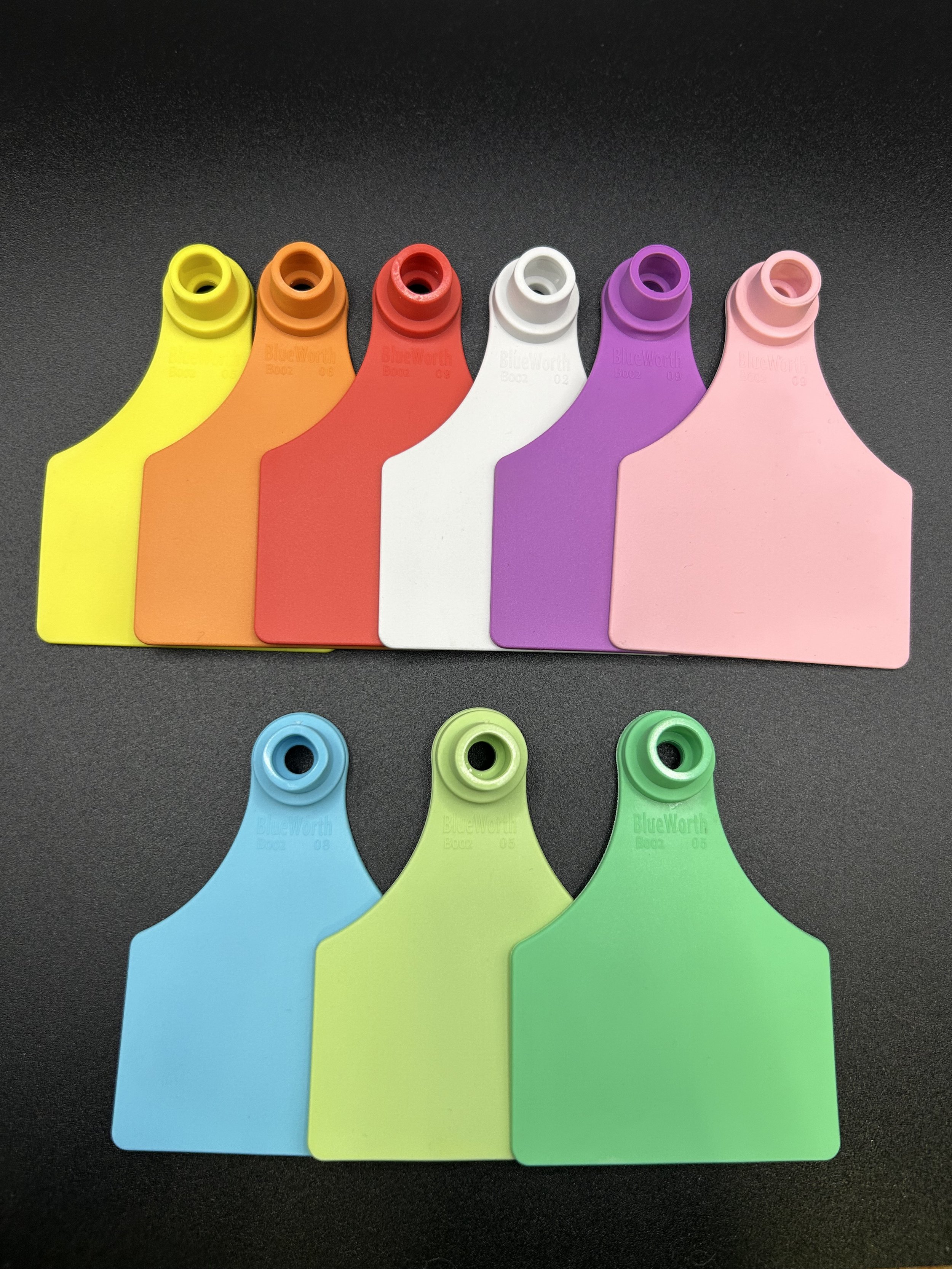 BLANK Two-Piece Calf Tags