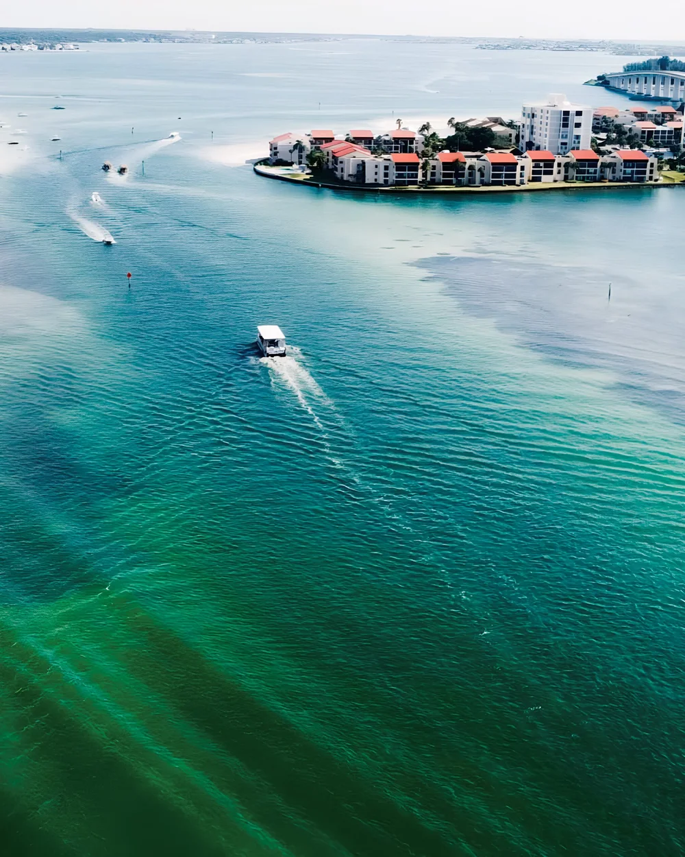 BEST Clearwater Dolphin Tours Flippers Fun Boat