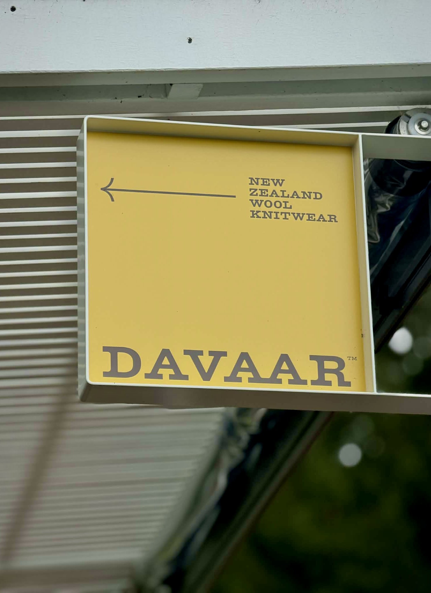 An Afternoon with Kathryn Wright: the life‑extending impact of friendships &nbsp;