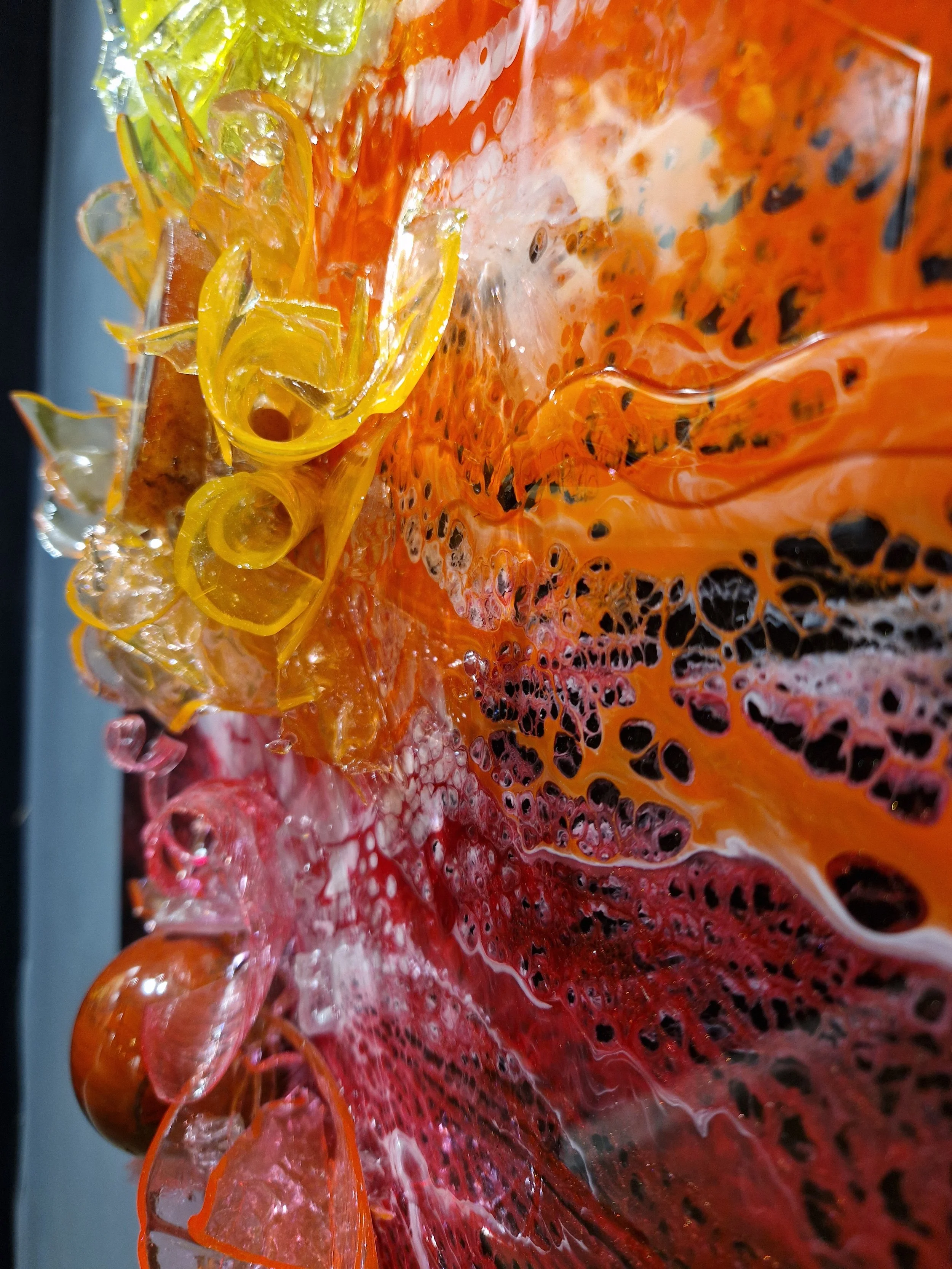 20250924_181345.jpg