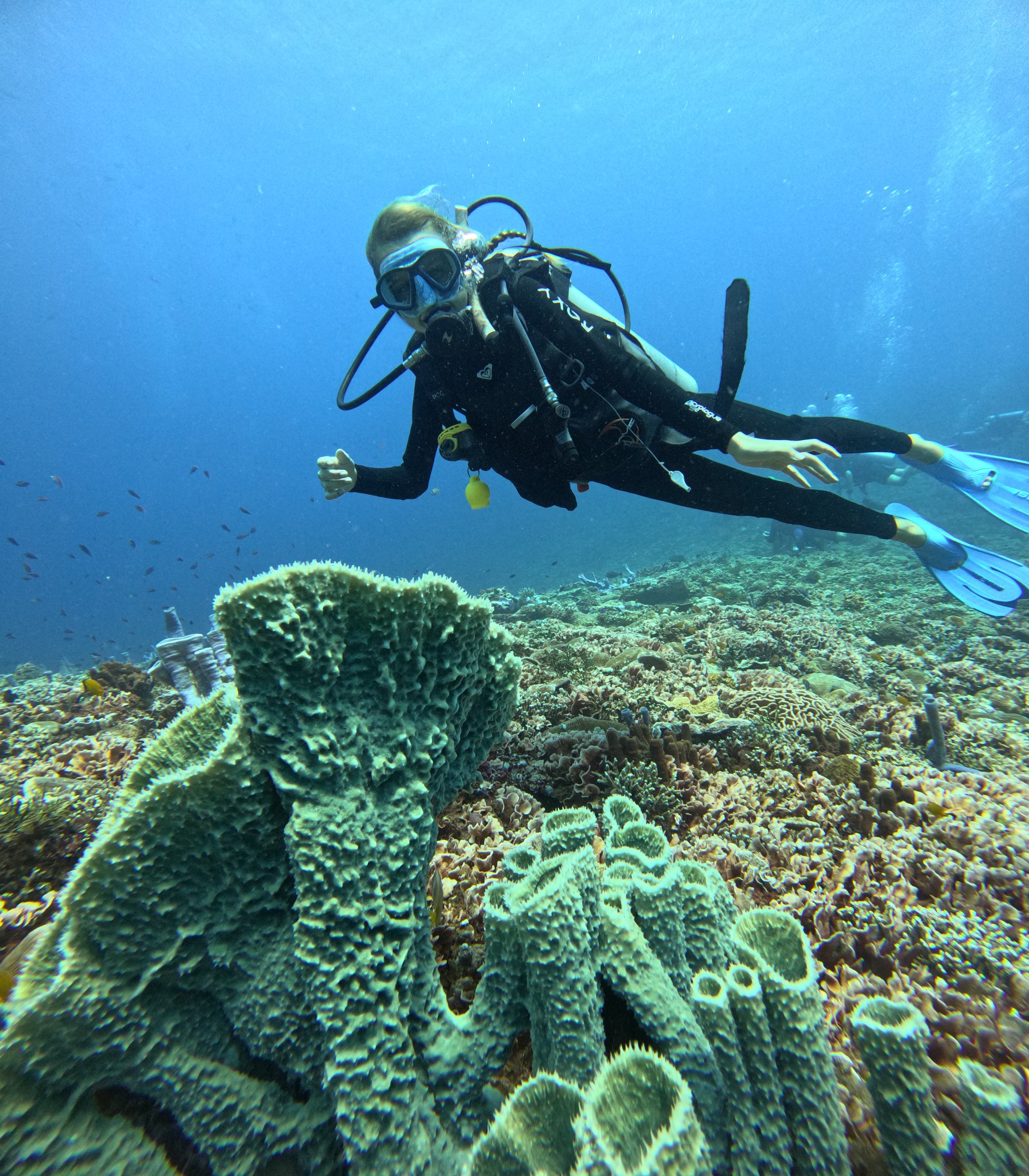 Gili Unterwasser und auf dem Pferderücken