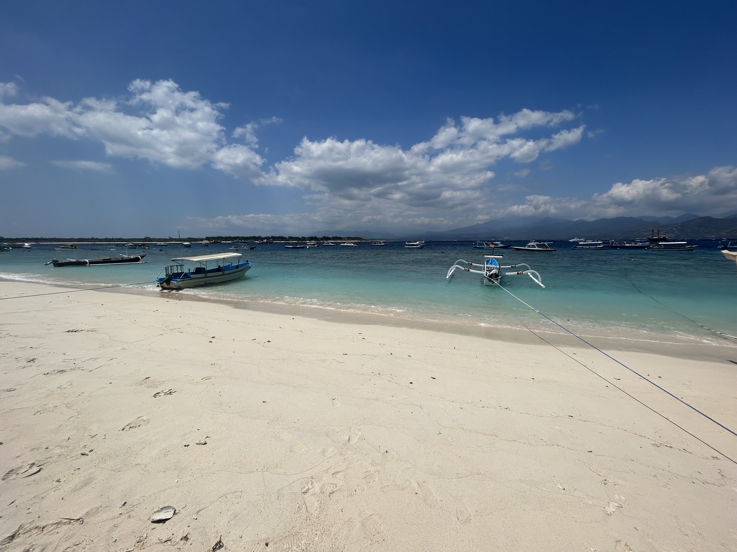IMG_4031.jpeg