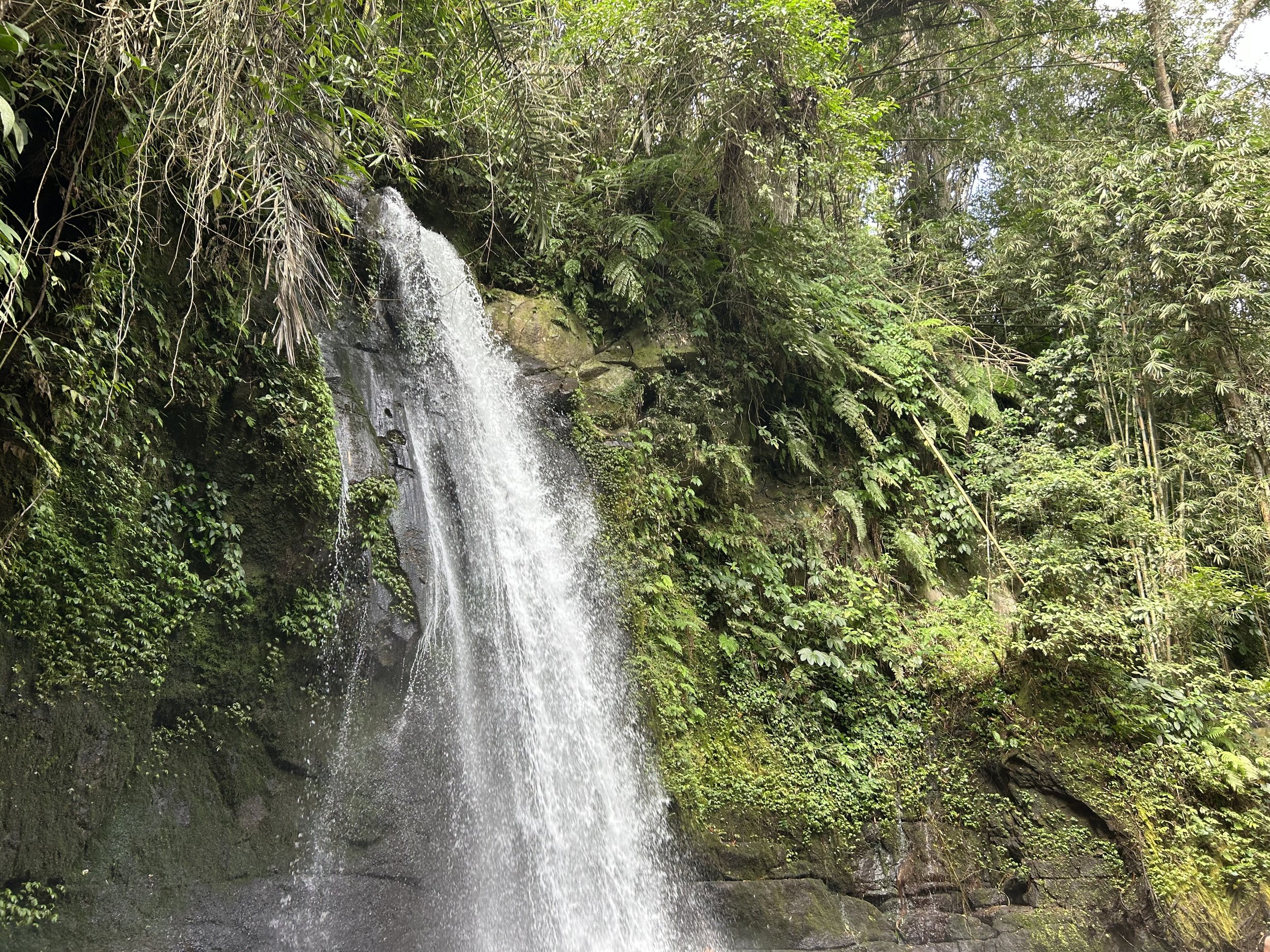 IMG_2874.jpeg