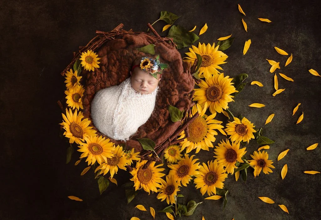 Sunflower2_1.jpg