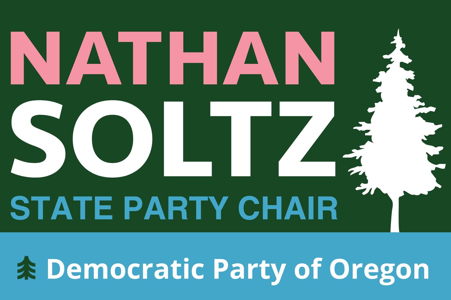 Nathan for DPO Chair