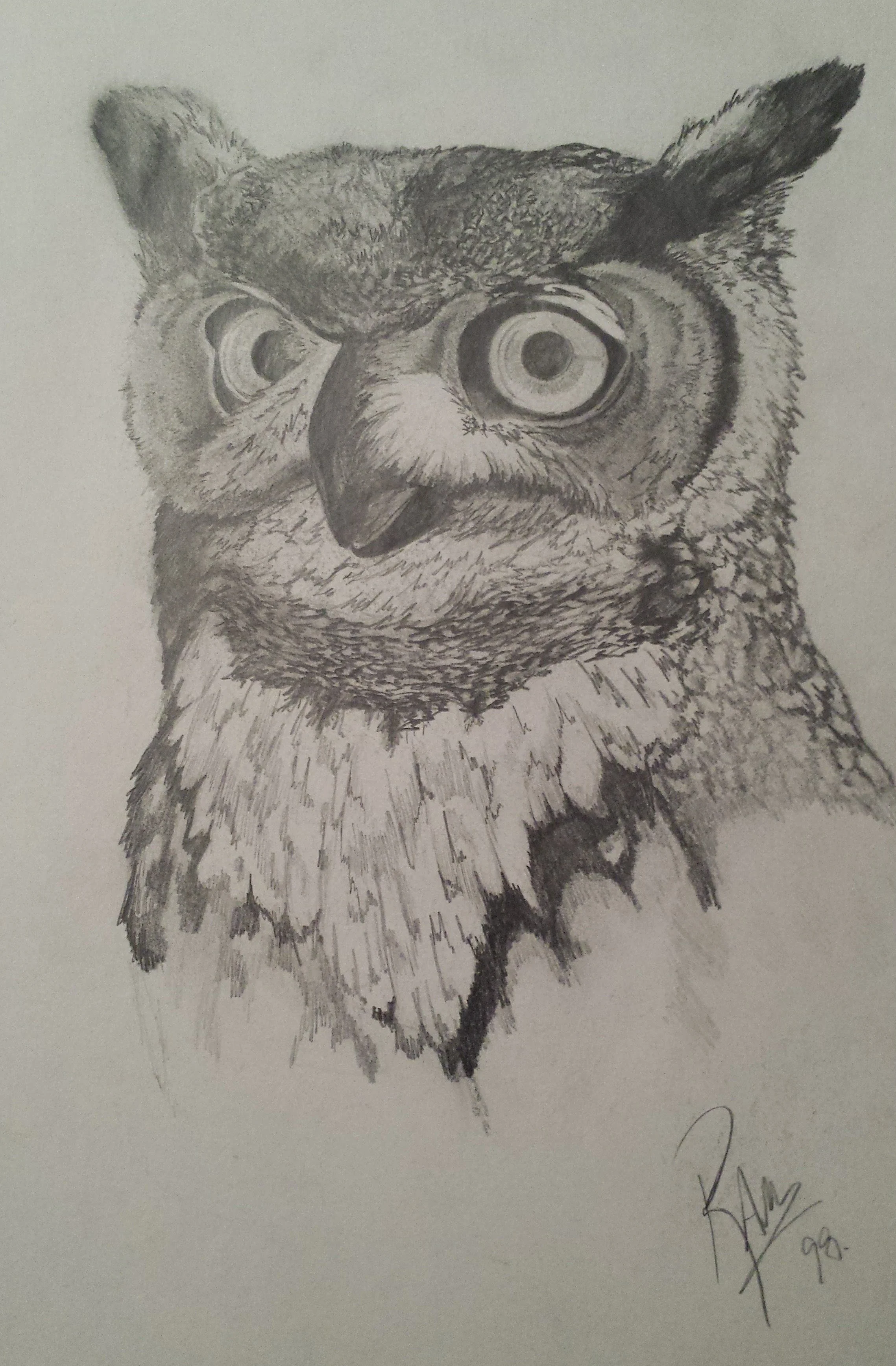 2016-owl penicl-rm.jpg