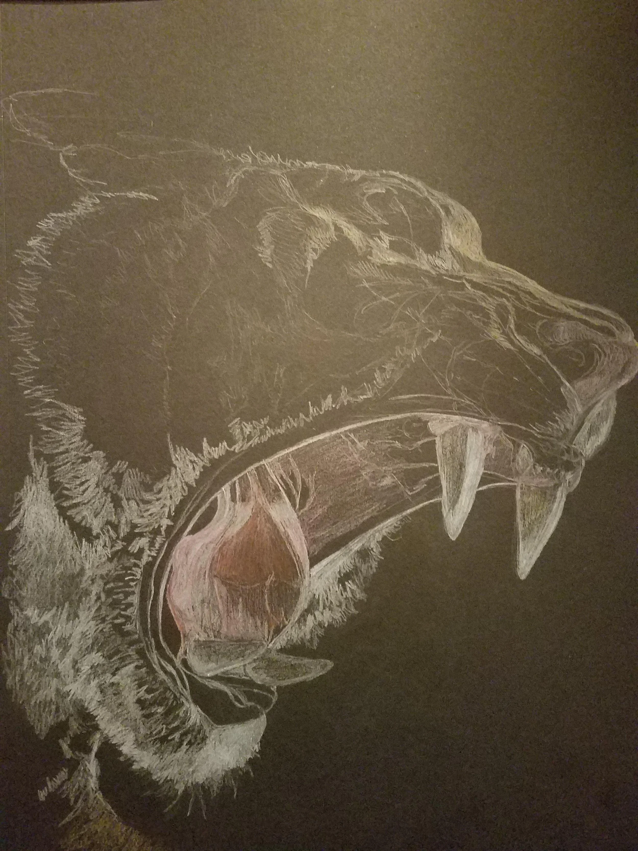 2018-negative roar-rm.jpg