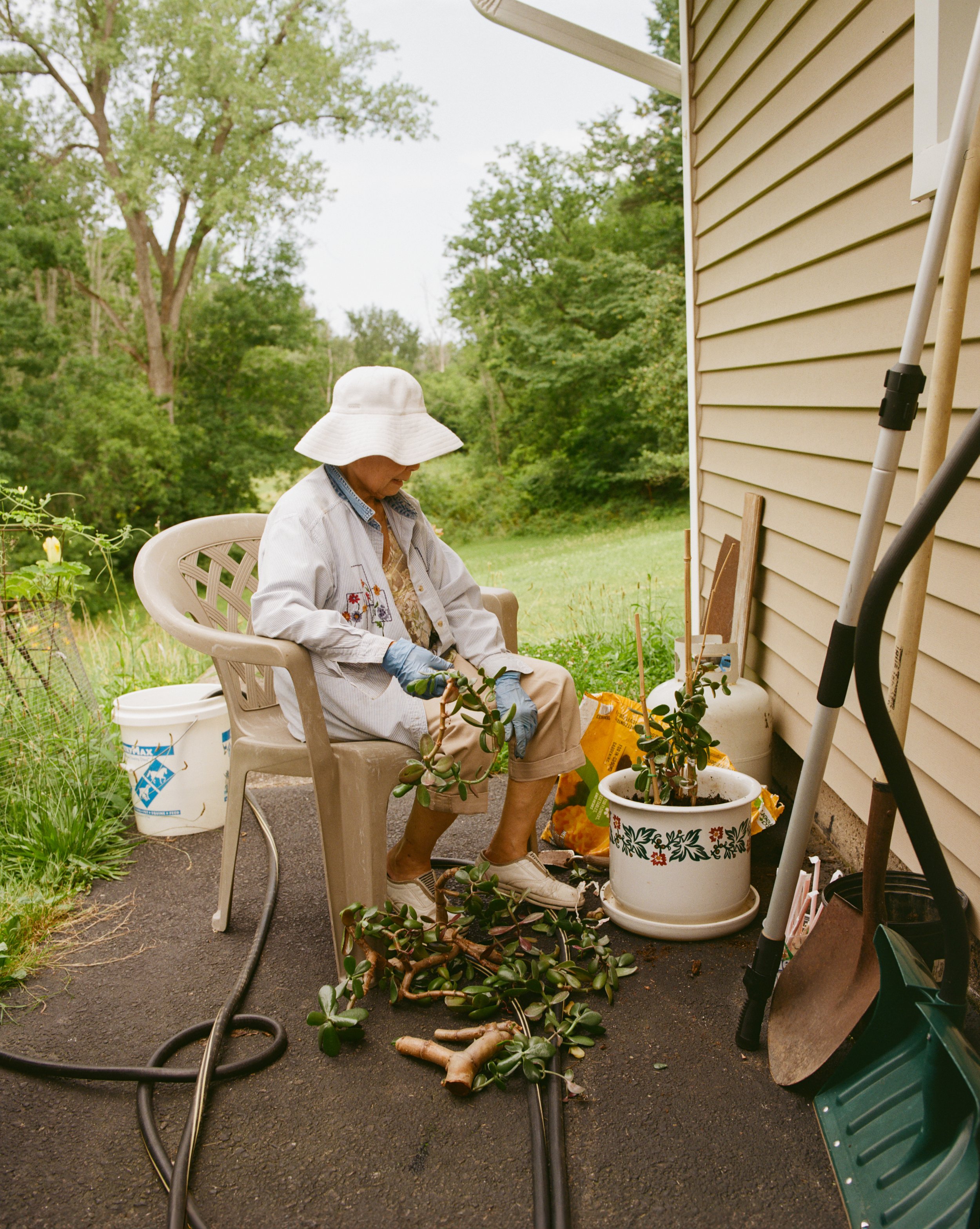 Planting Jade