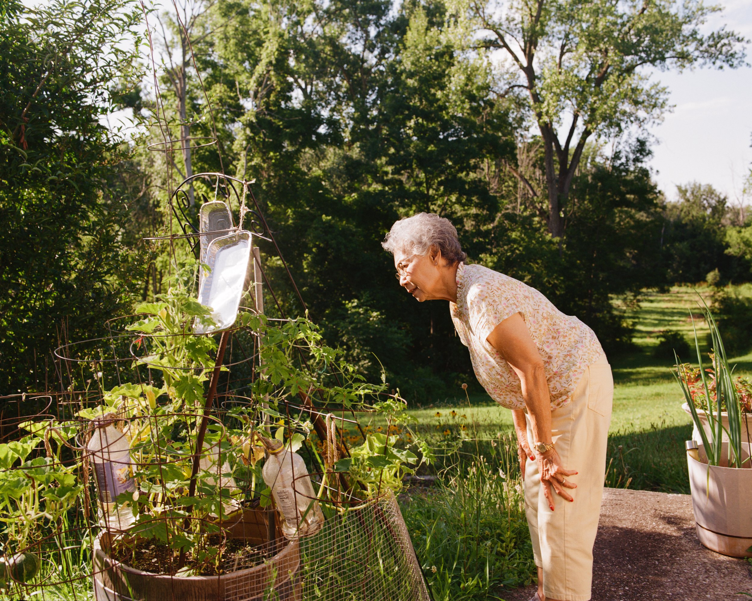 Talking to the Garden
