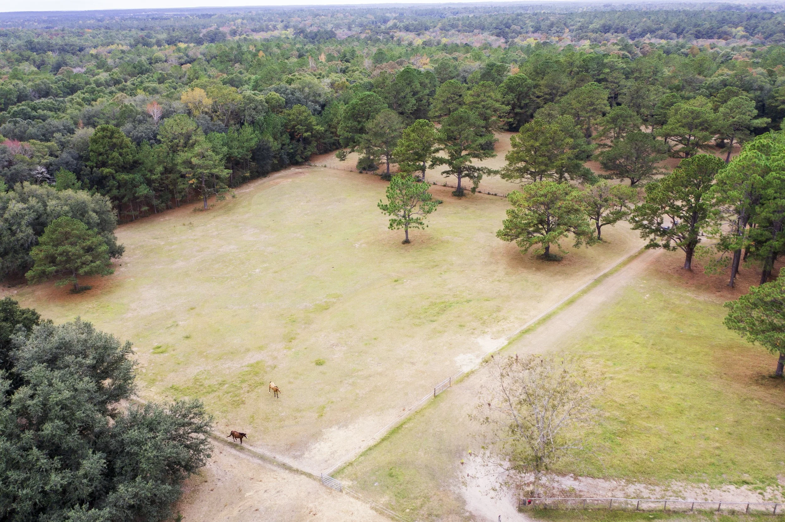DJI_0189.jpg