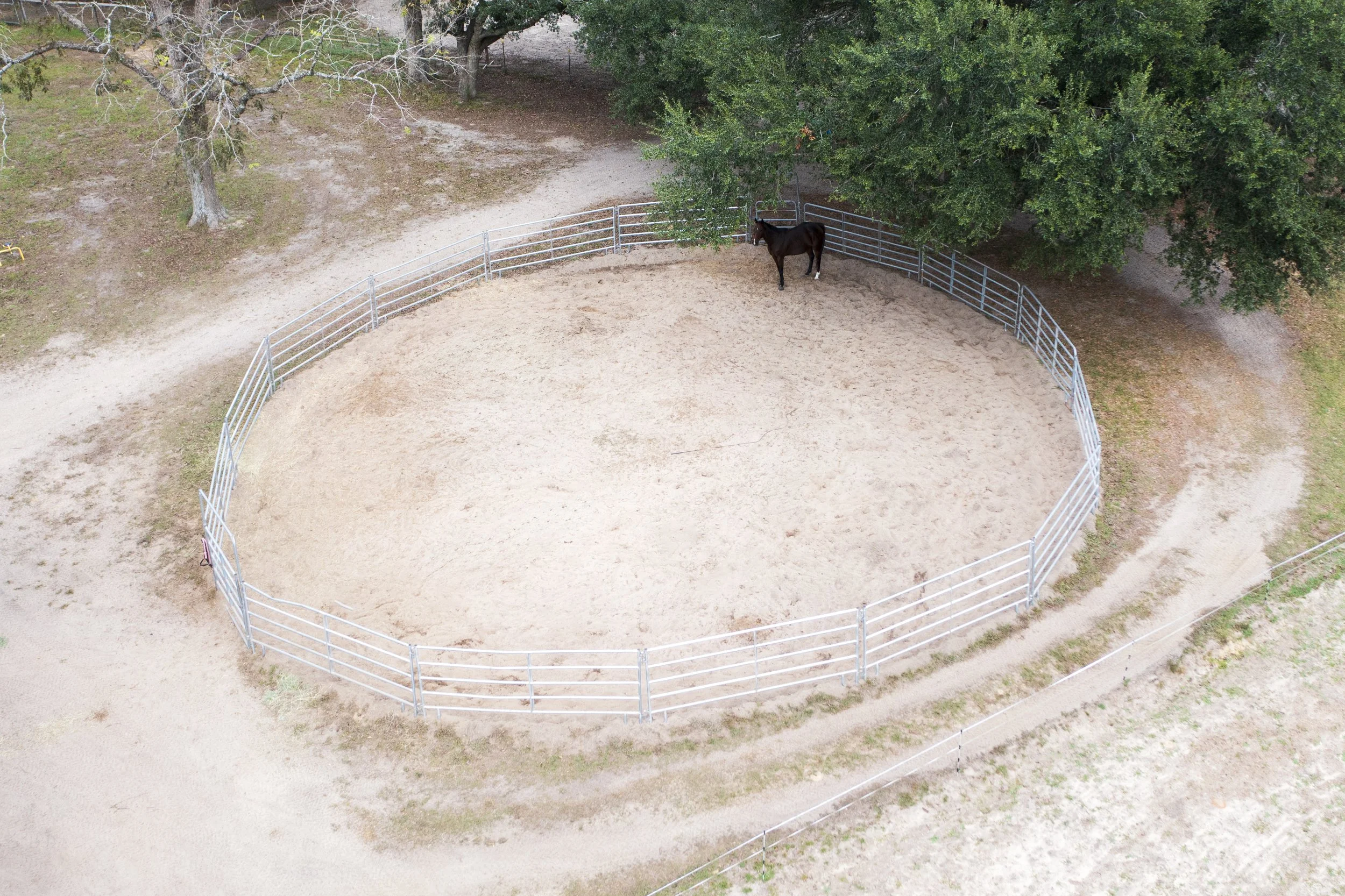 DJI_0185.jpg