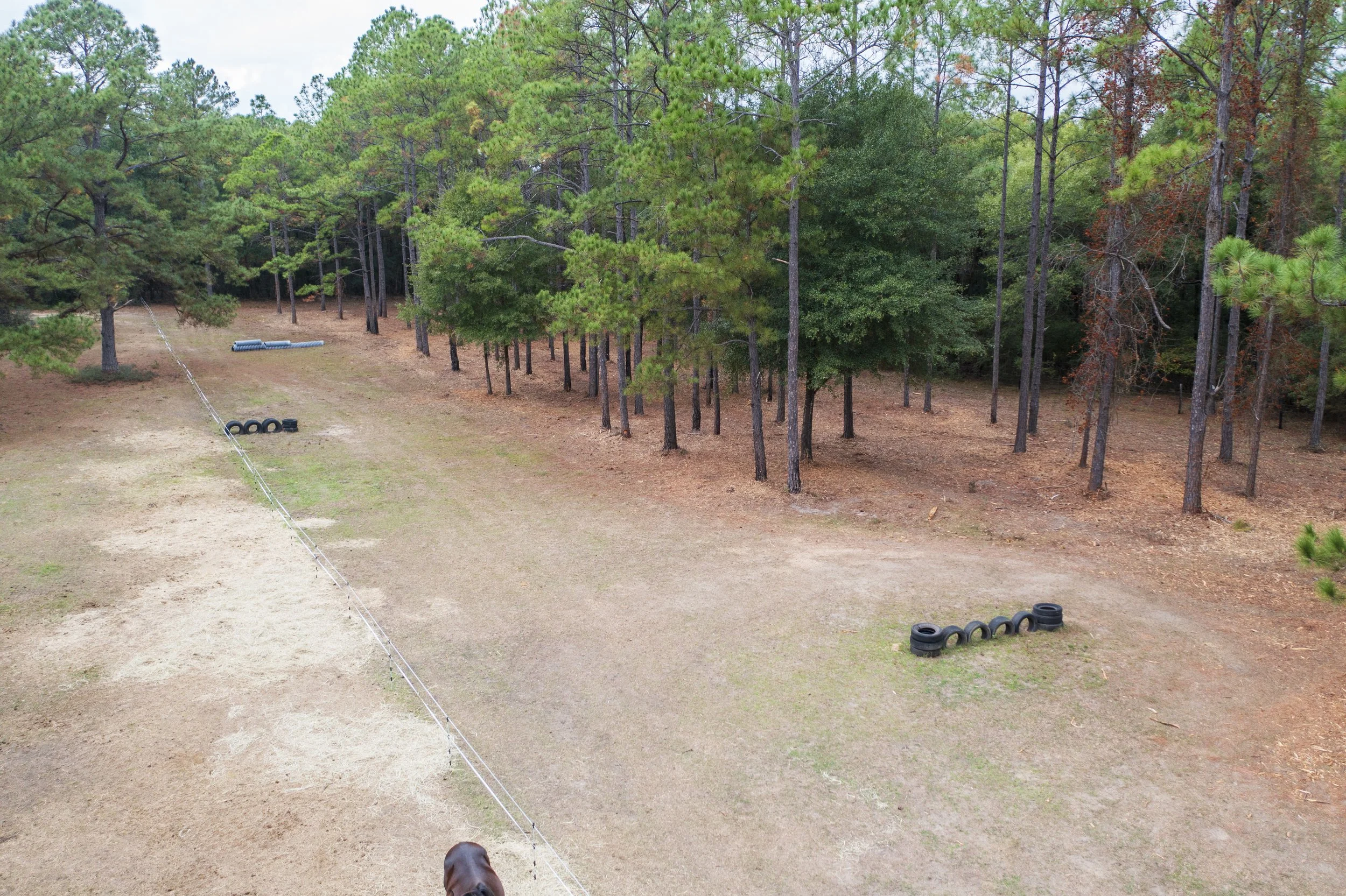 DJI_0188.jpg