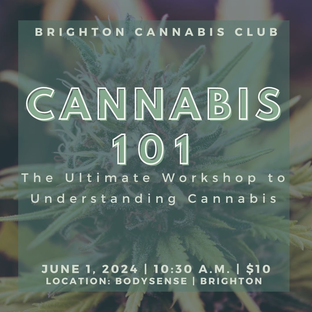 The Ultimate Guide to Understanding C a n n a b i s is Here! 🌿

Ever wonder how c a n n a b i s and C B D could improve your life? From easing stress to helping with sleep, join us at the Brighton C a n n a b i s Club for an exclusive C a n n a b i 