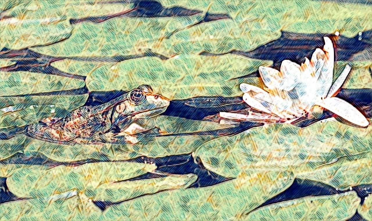 Frog In The Lotus Position