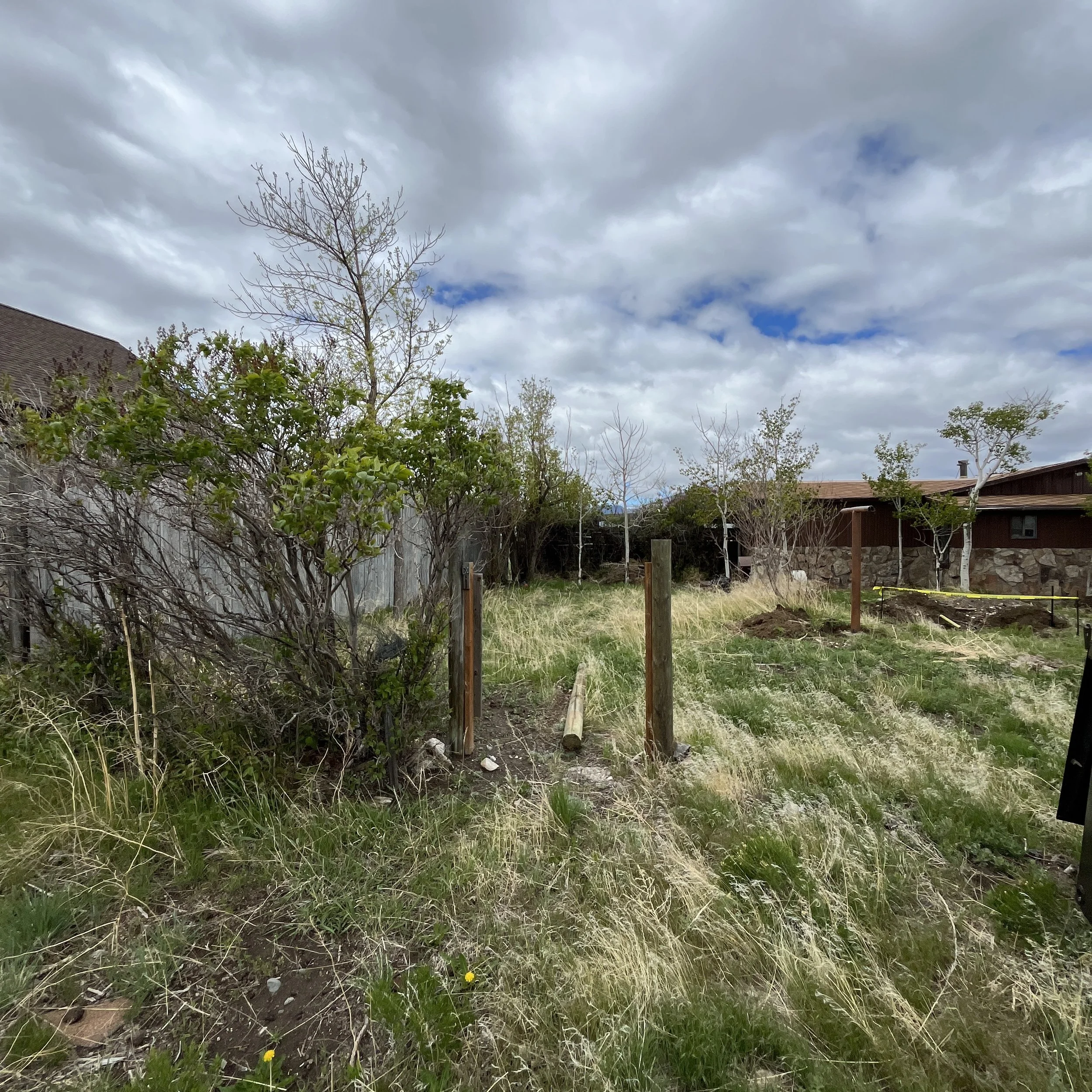 Large weed and brush removal project in Cody, WY