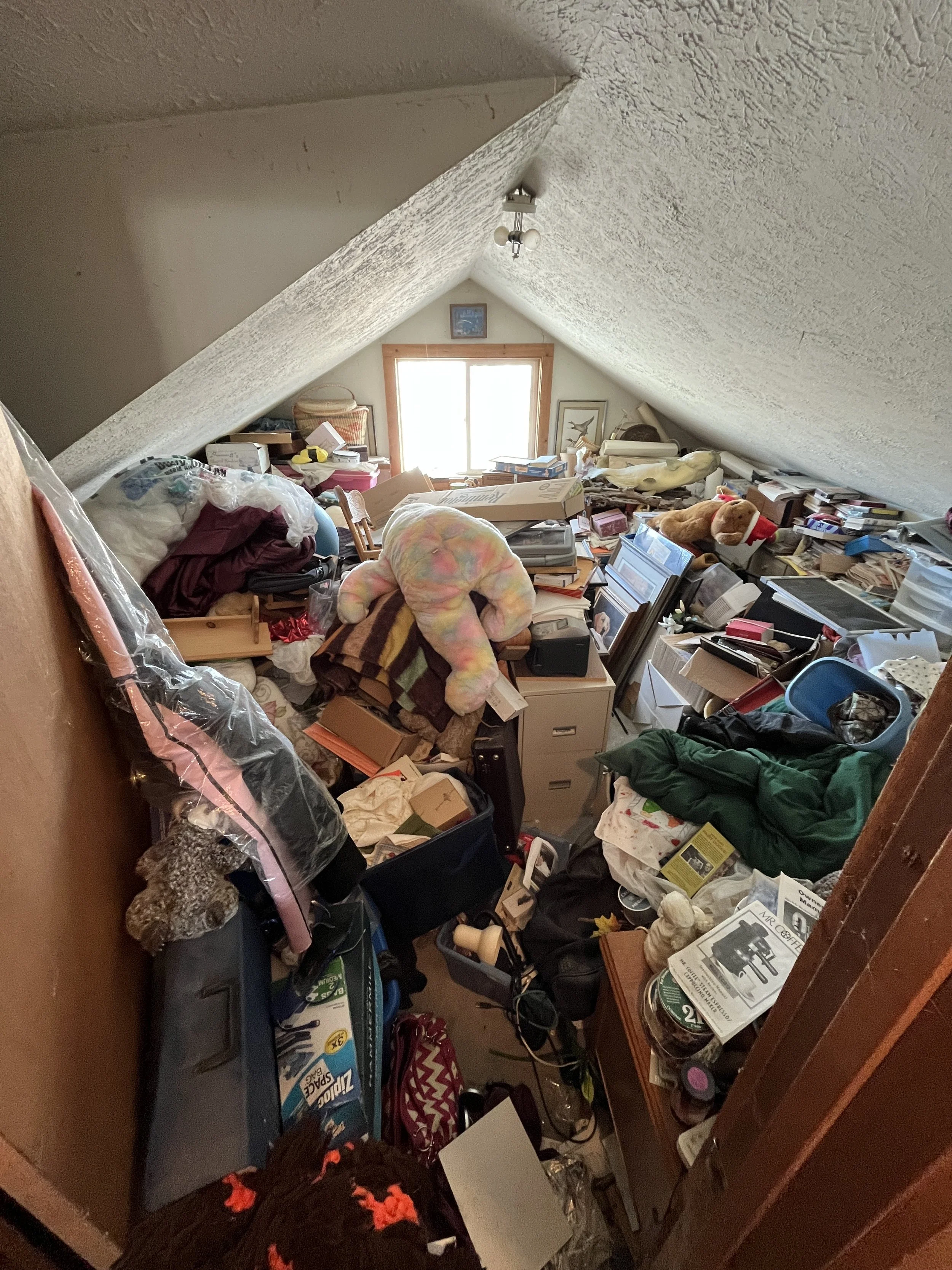 Junk removal being cleaned up near Cody, WY