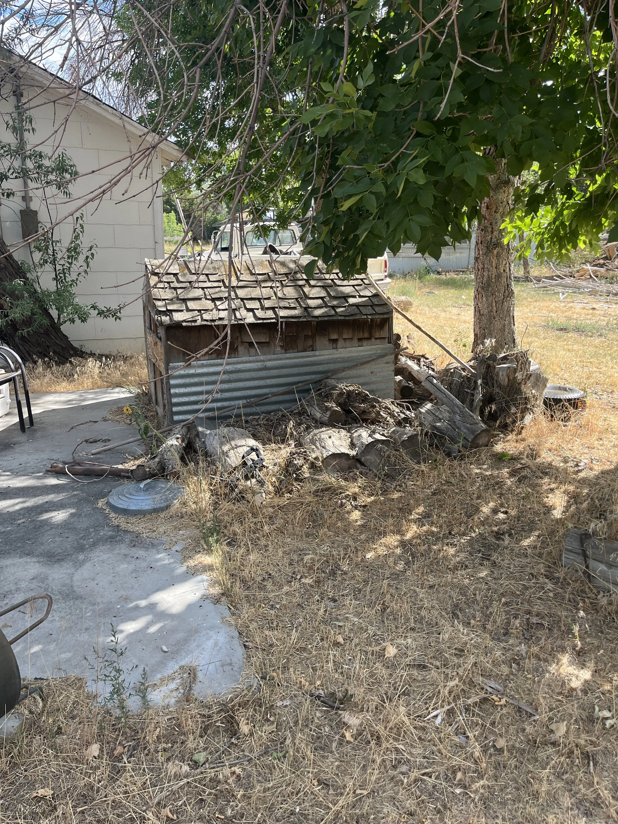 Yard debris being cleaned up near Cody, WY