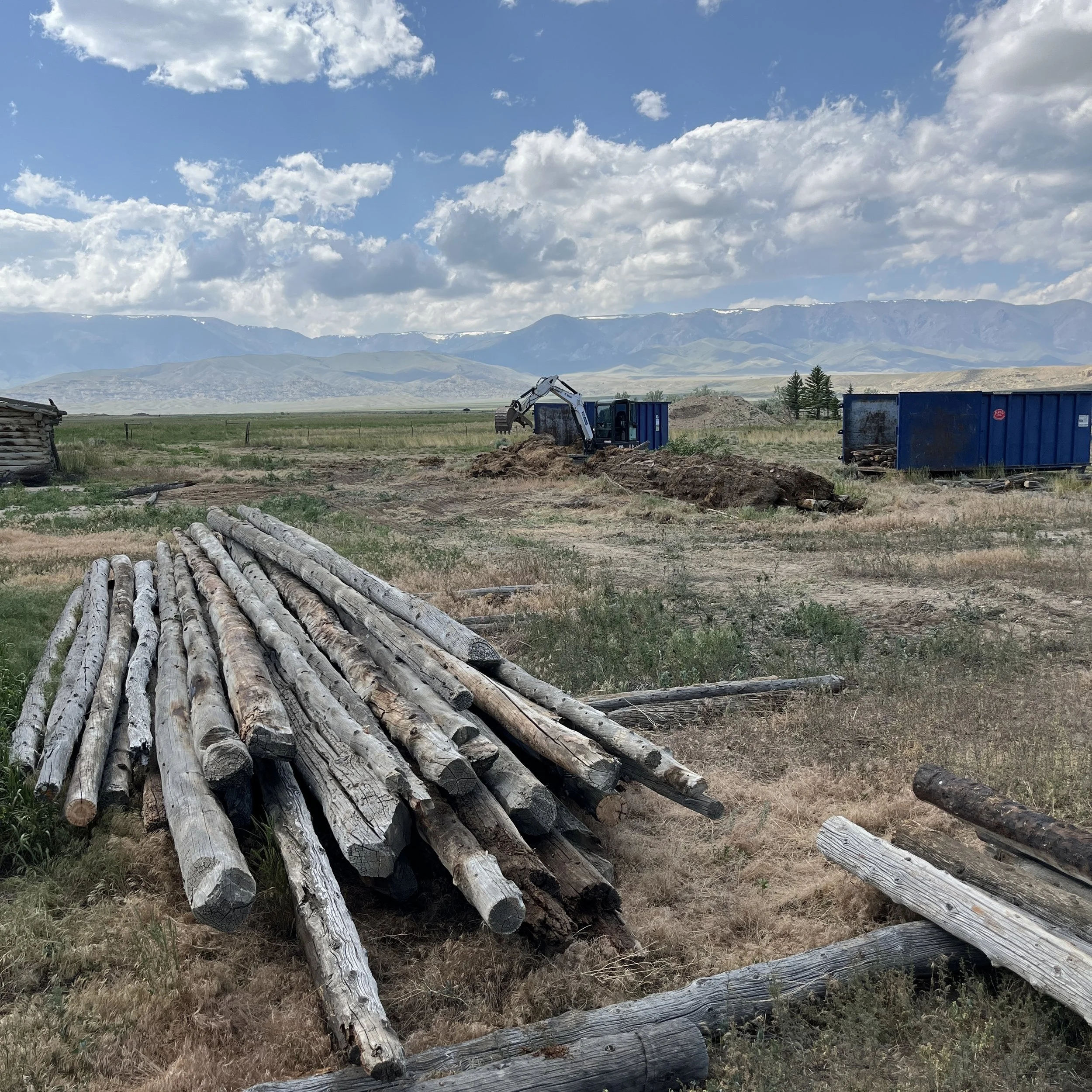 yard debris being cleaned up near Cody, WY