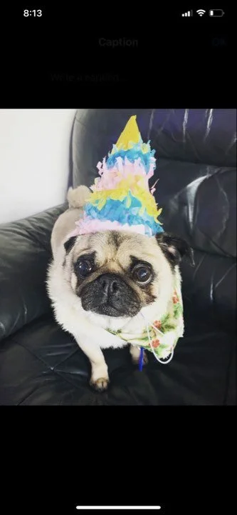 Franklin hat.jpg