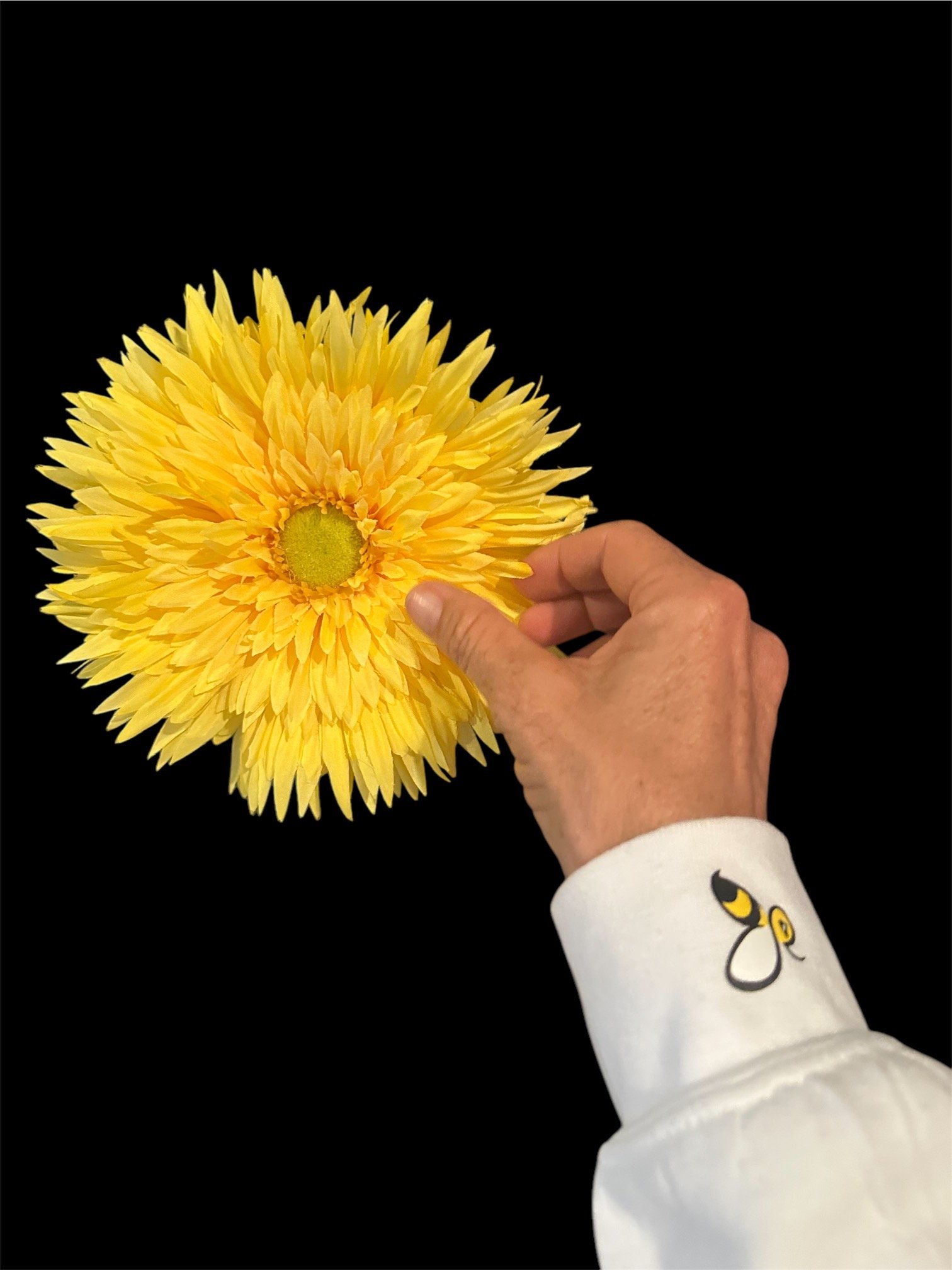 bee on cuff white.jpeg