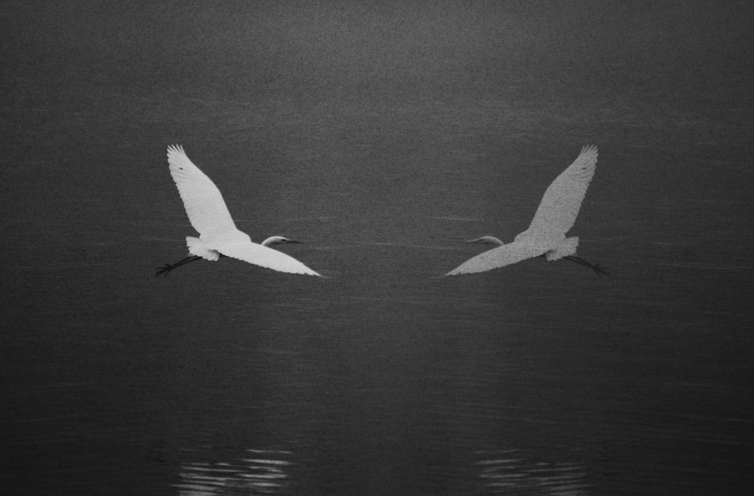 The Only Thing You Can Control Is You: How Changing Your Role Can Transform a Relationship