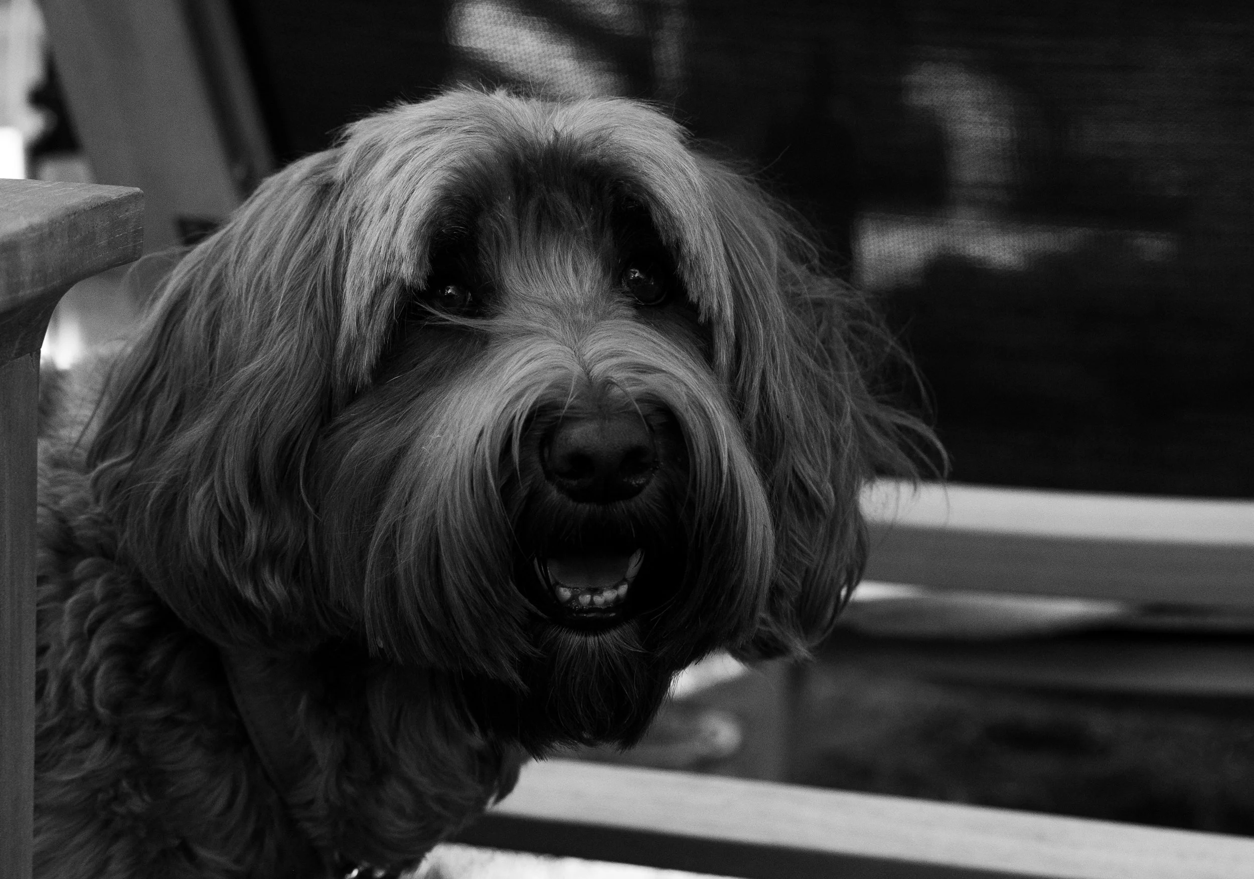 DSC_4773.jpg