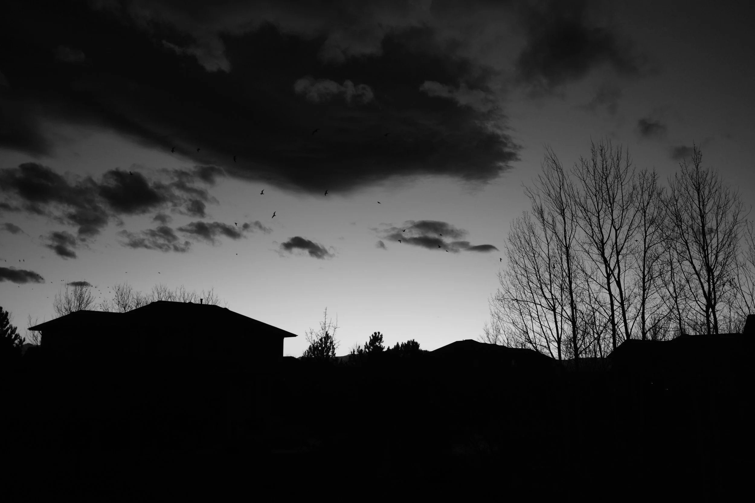 DSCF0546.jpg