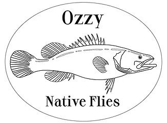 Ozzie Native Flies.jpg