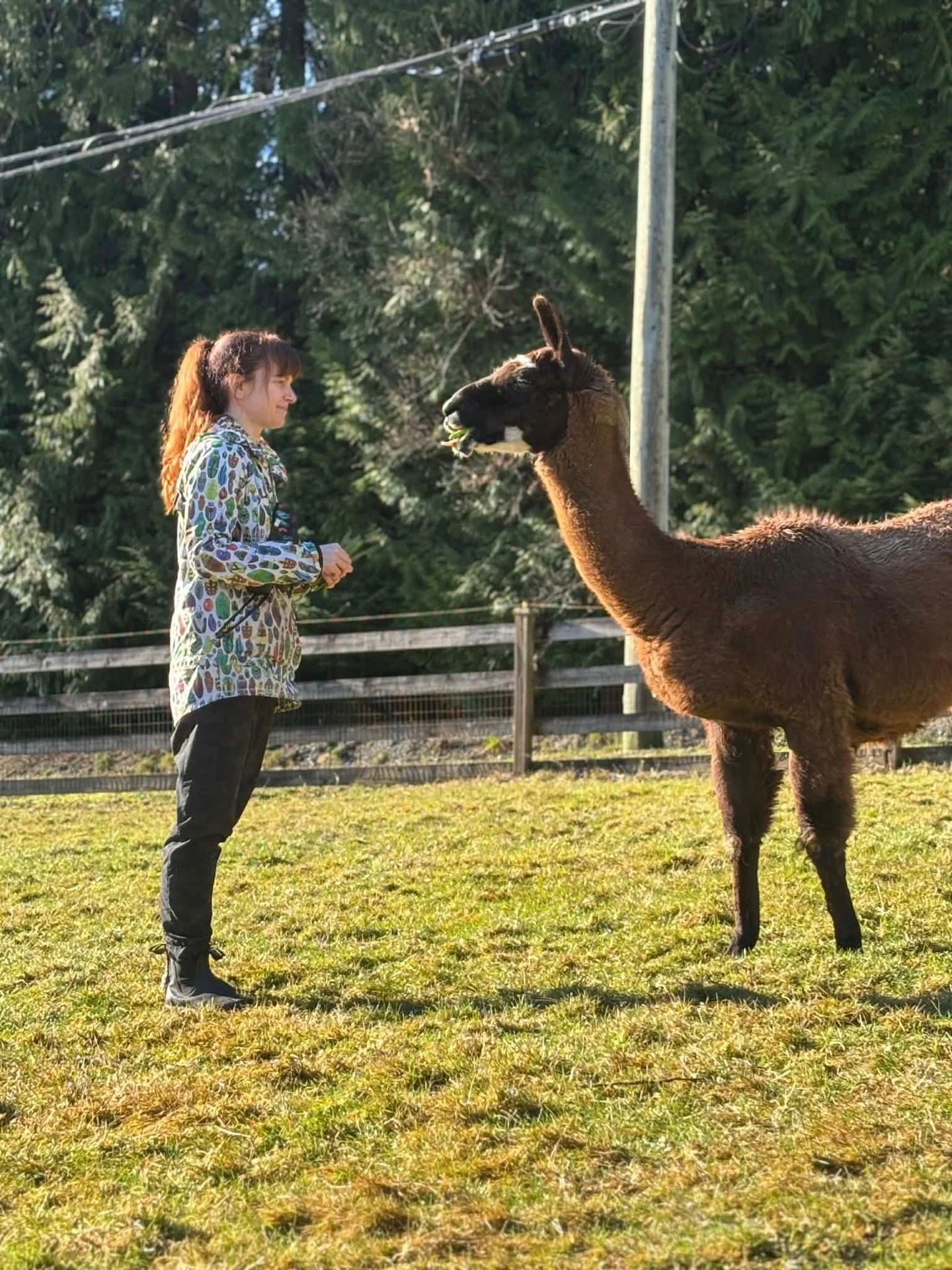 I can&rsquo;t think of a better way to spend a Saturday than with the beautiful people and animals at Saints. What a fun day ❤️✨