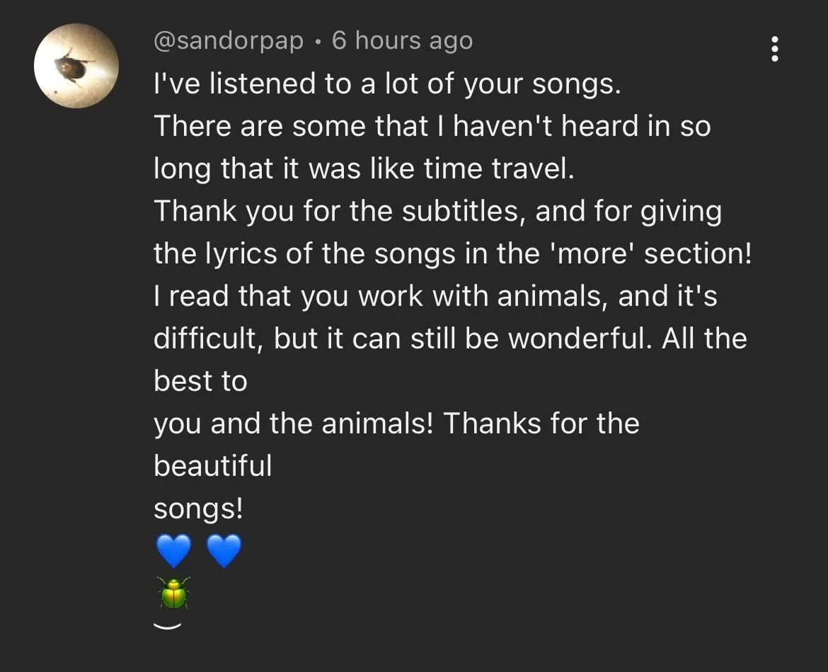 I love comments like this and I love my growing community 💖🐾