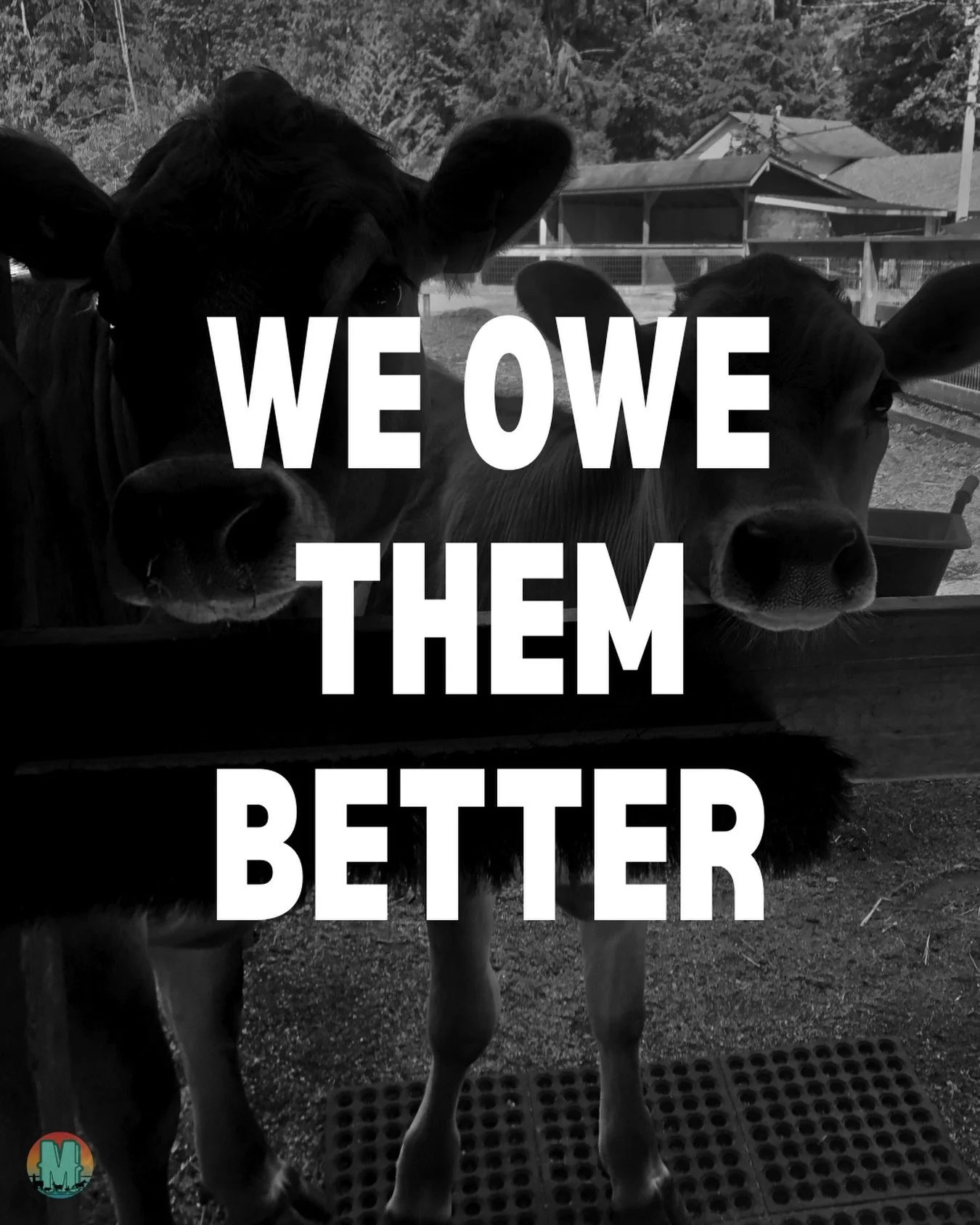 Support your local animal rescue 
#animalrescue #animalrights #animallovers