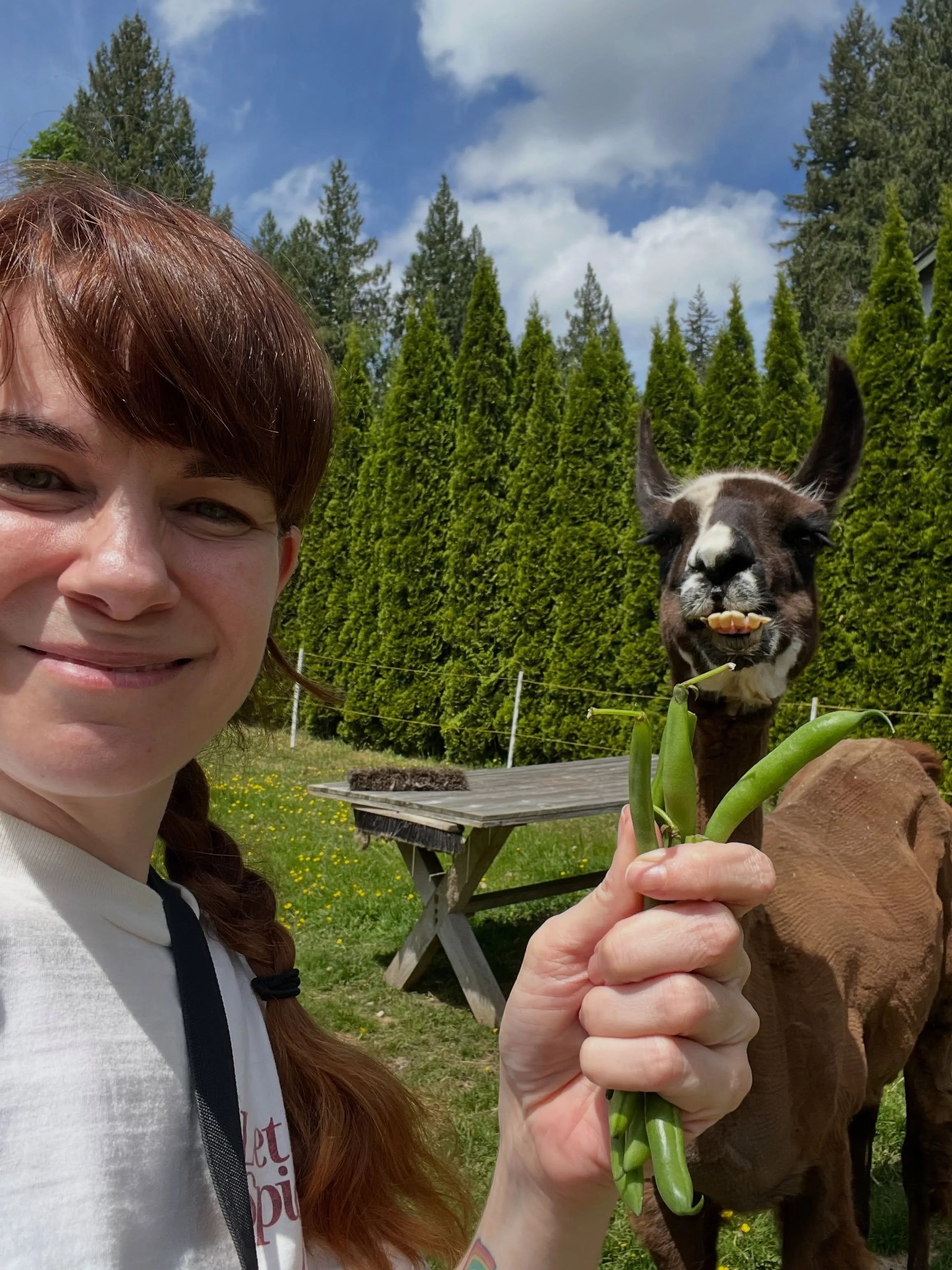 Feed Deedee her beans ✔️
Hug Daisy ✔️
Belly rub x 3 (Peppa, Winston &amp; Winnie) ✔️✔️✔️
Take funny pictures of Elvis and Prince ✔️✔️
Meet Charlie 🥰✔️
Tell Peppa she&rsquo;s beautiful again ✔️
Hang with Ernest ✔️
Admire Jimmy ✔️

#animalrescue #anim