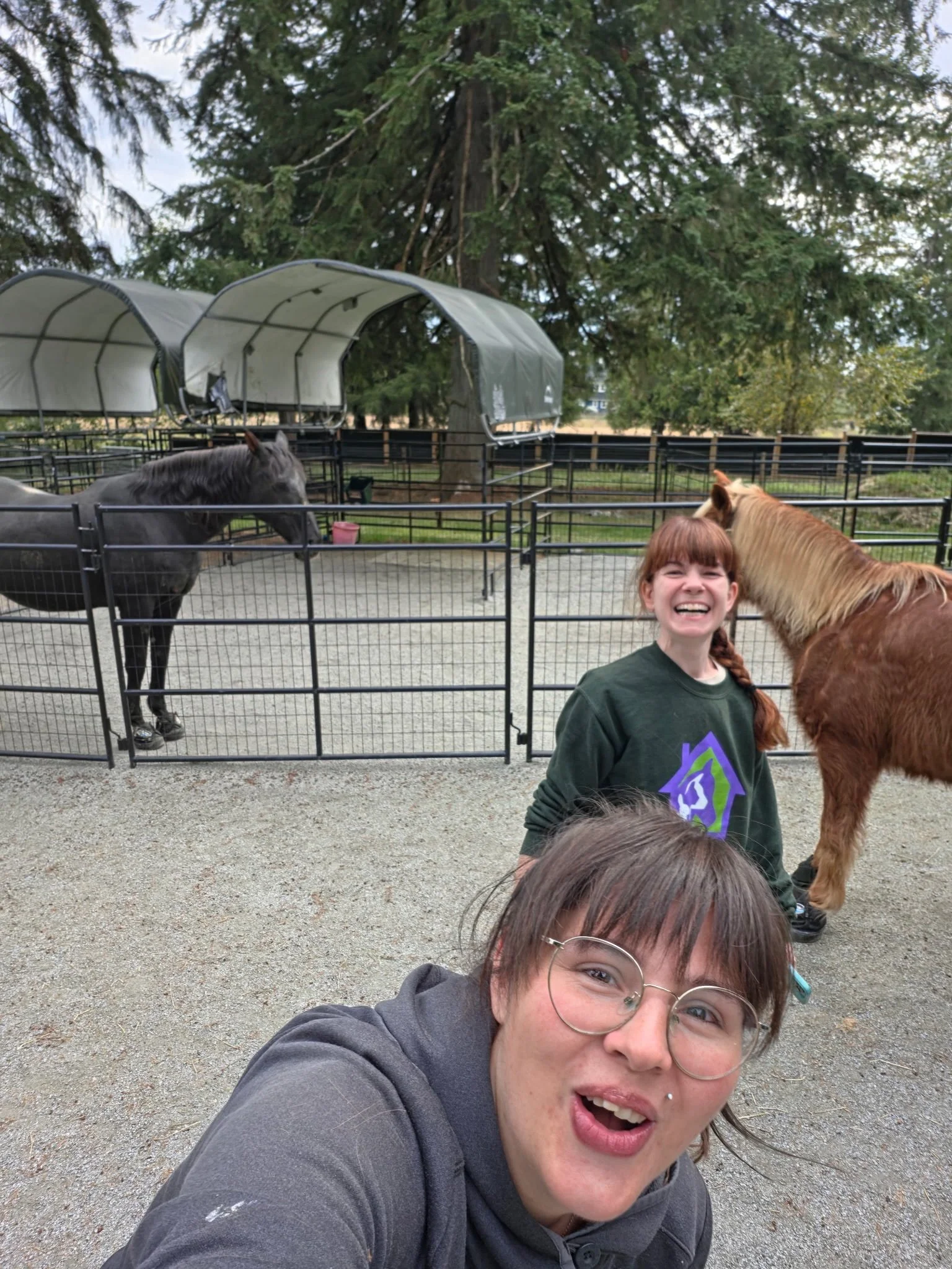 Yesterday was fun! I never get shifts with Amy so it was a special day. Every time I&rsquo;m at Saints I feel so grateful this place exists because they treat the 90+ animals they care for so well. The staff are the best people 💕