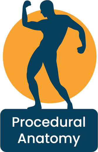 Procedural Anatomy