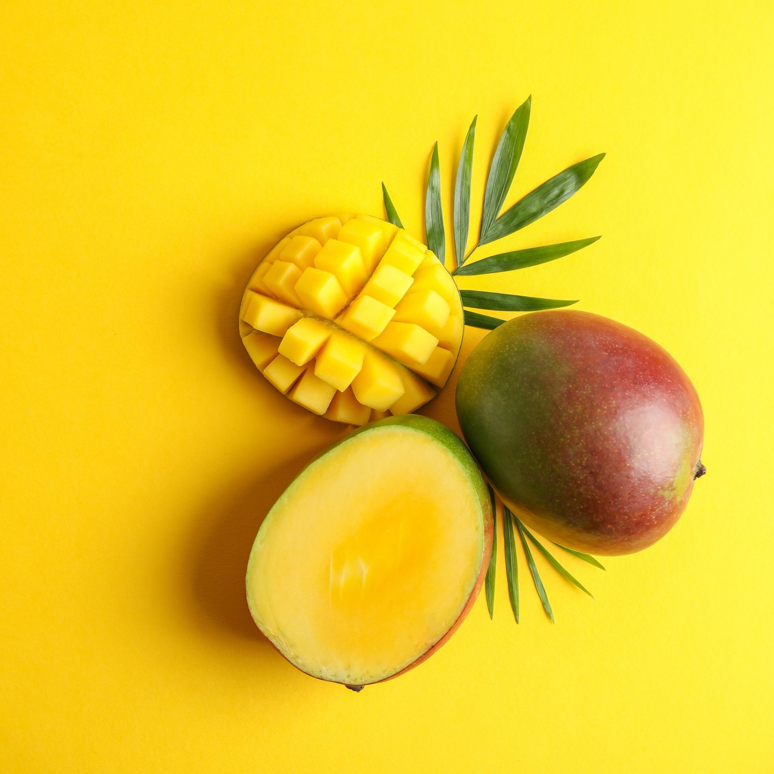 Mangoes Are In Season!