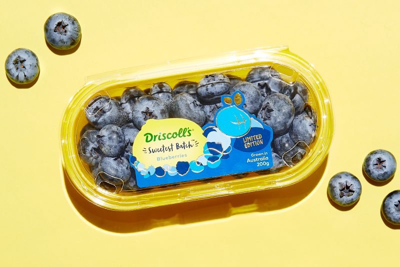 Driscolls Blueberries