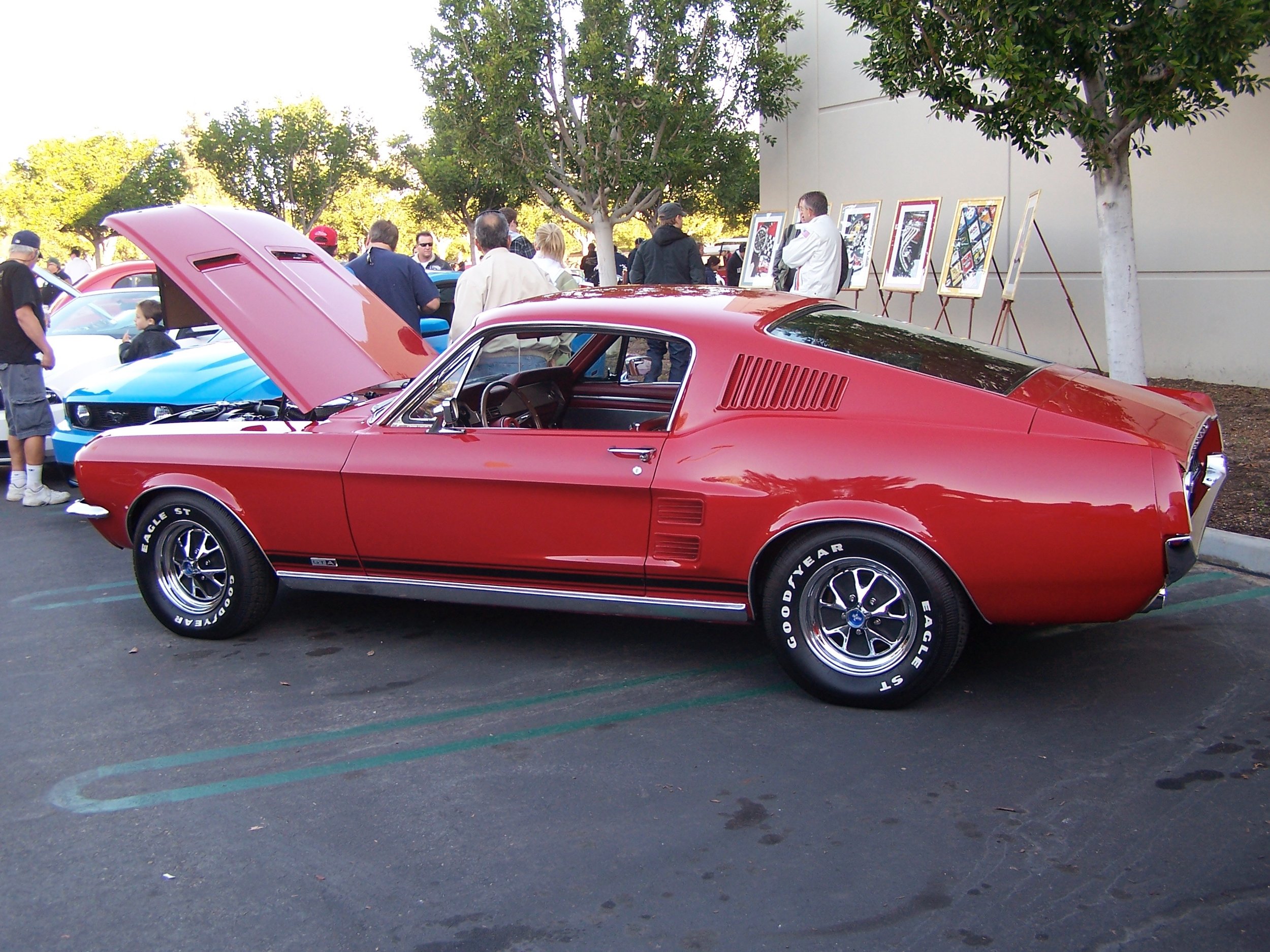 Cars and Coffee 12.6.08 GTV6s Album-13.jpeg