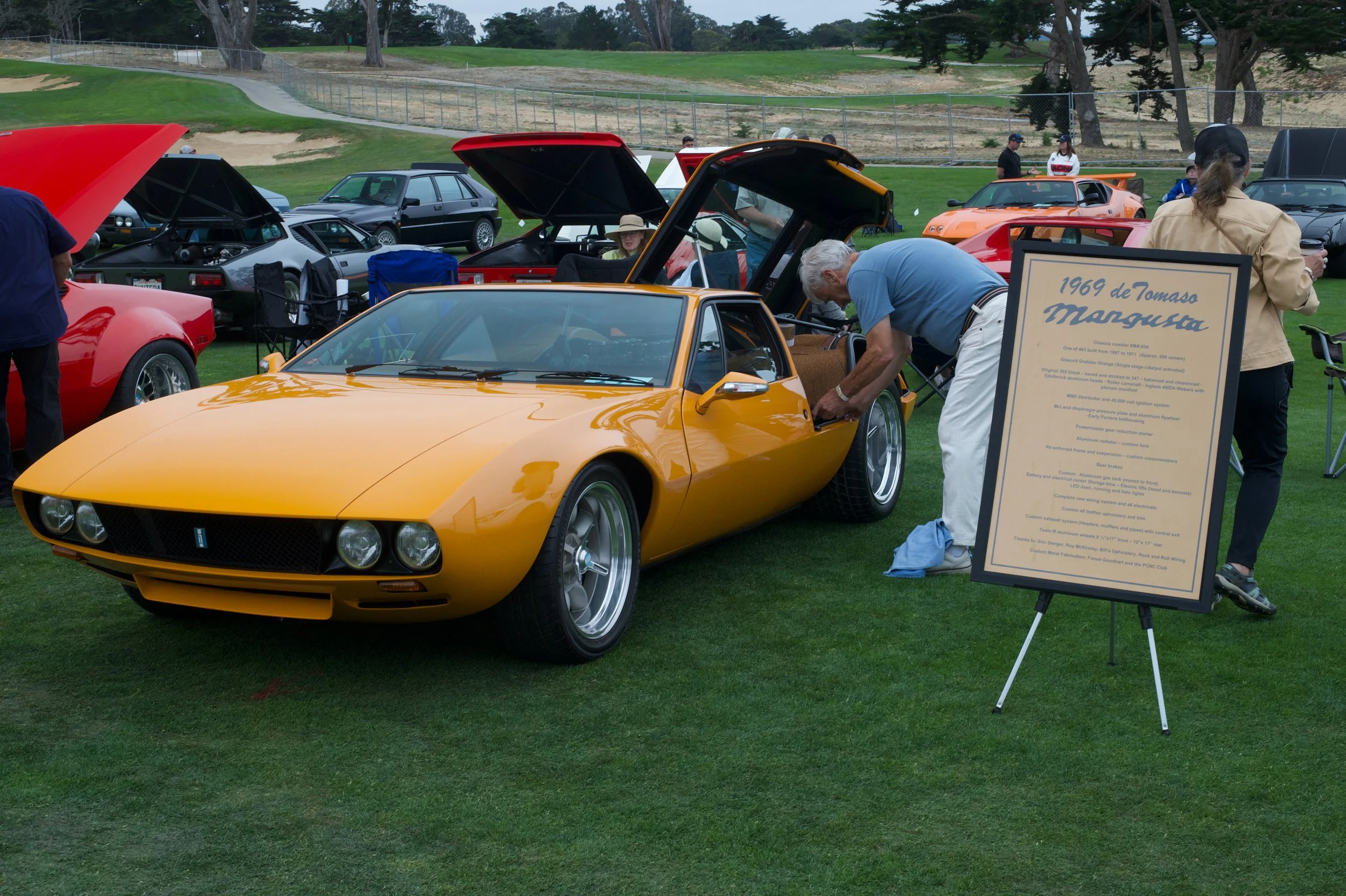 DeTomaso Mangusta.jpeg