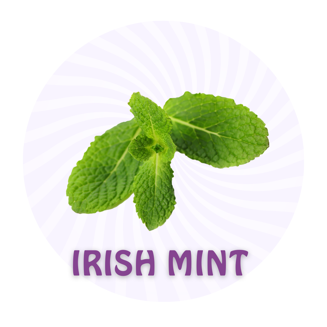 Yogurt Beach - Flavors - Mint.png