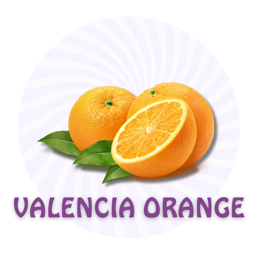 Yogurt Beach - Flavors - Valencia Orange.png
