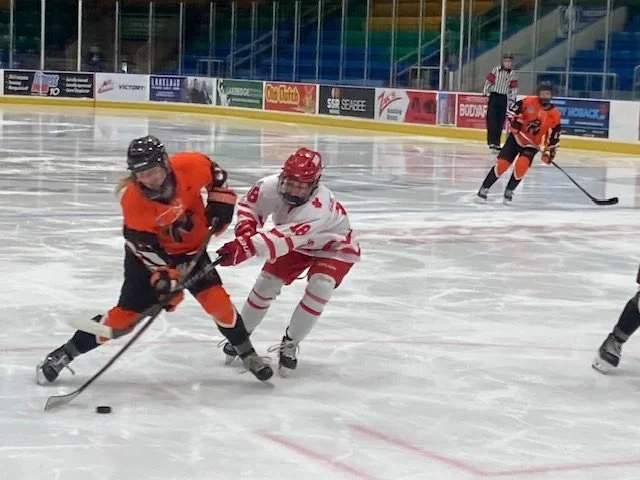 Bears earn weekend sweep over visiting Hounds