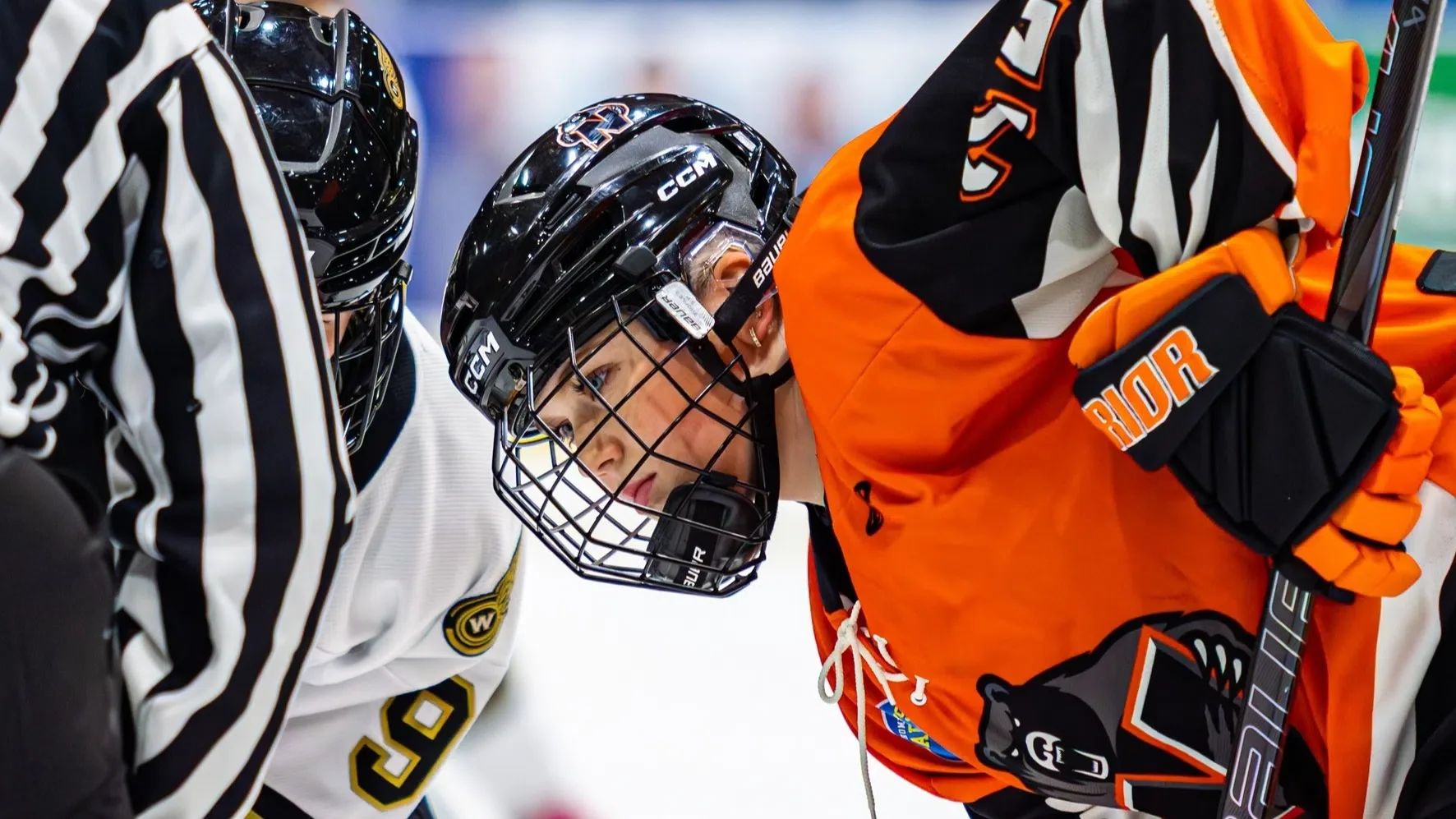 Northern Bears feeling the rhythm after three straight wins